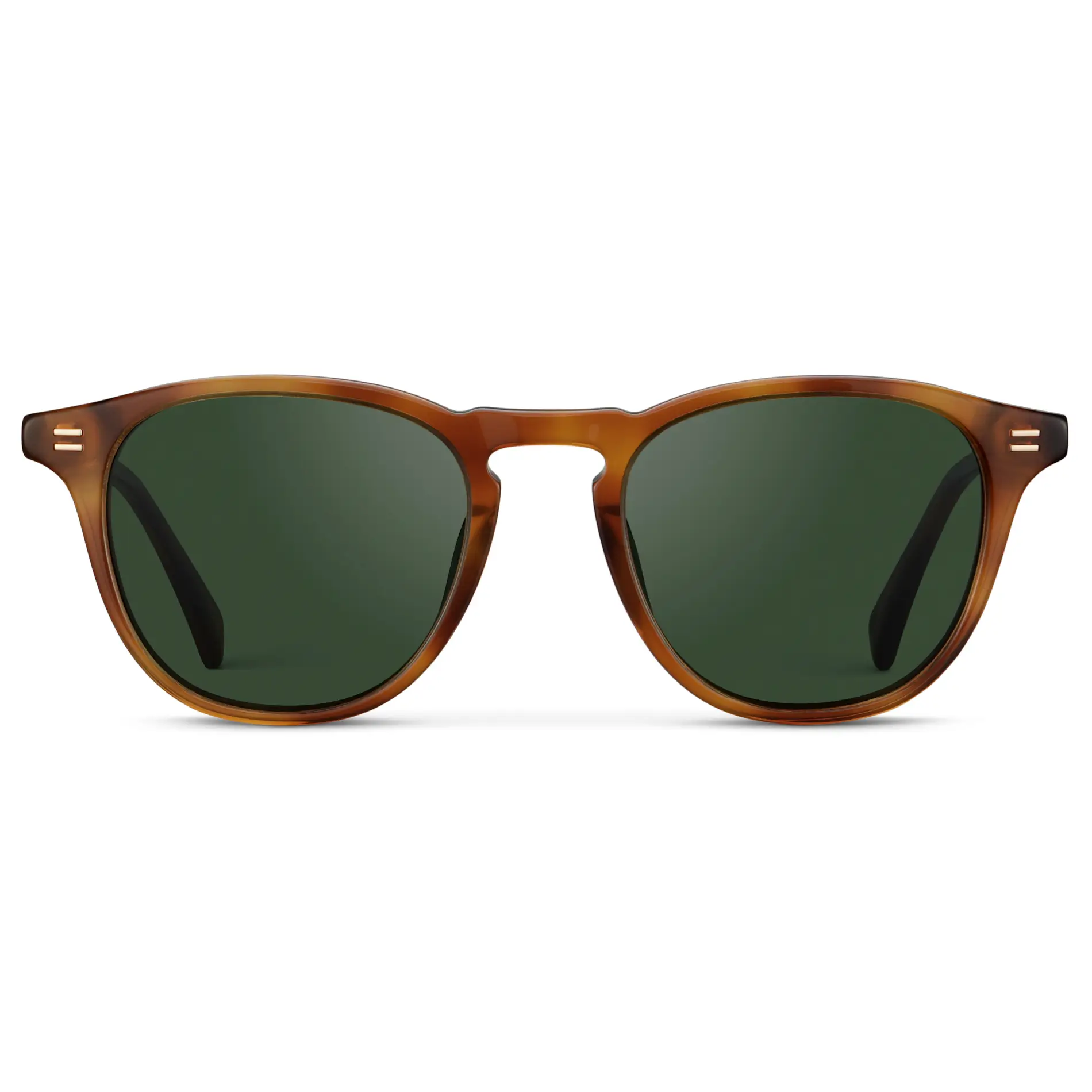 Cameron | Polarized - Image 16
