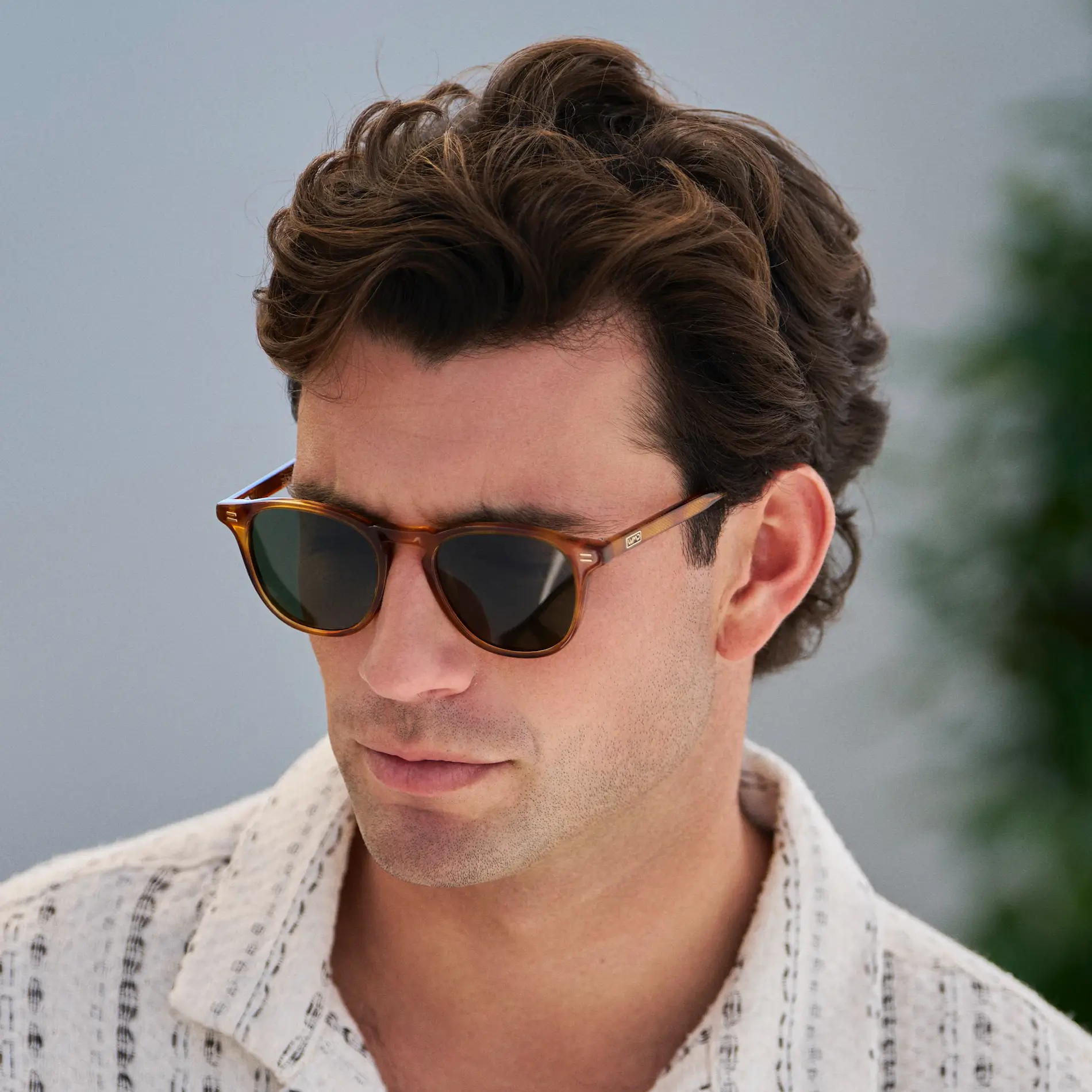 Cameron | Polarized - Image 18