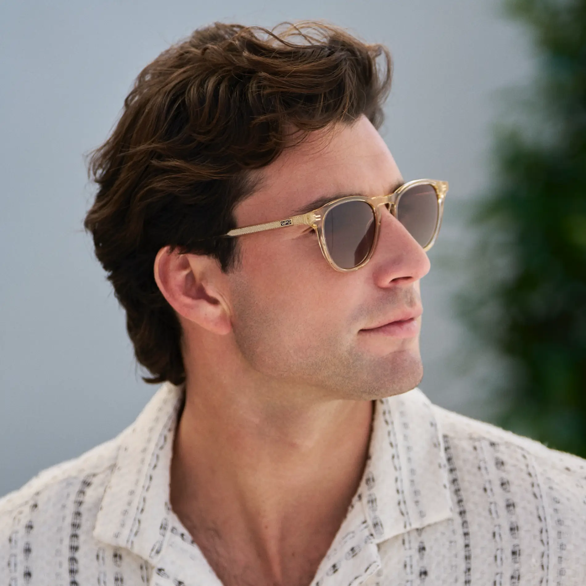 Cameron | Polarized - Image 23