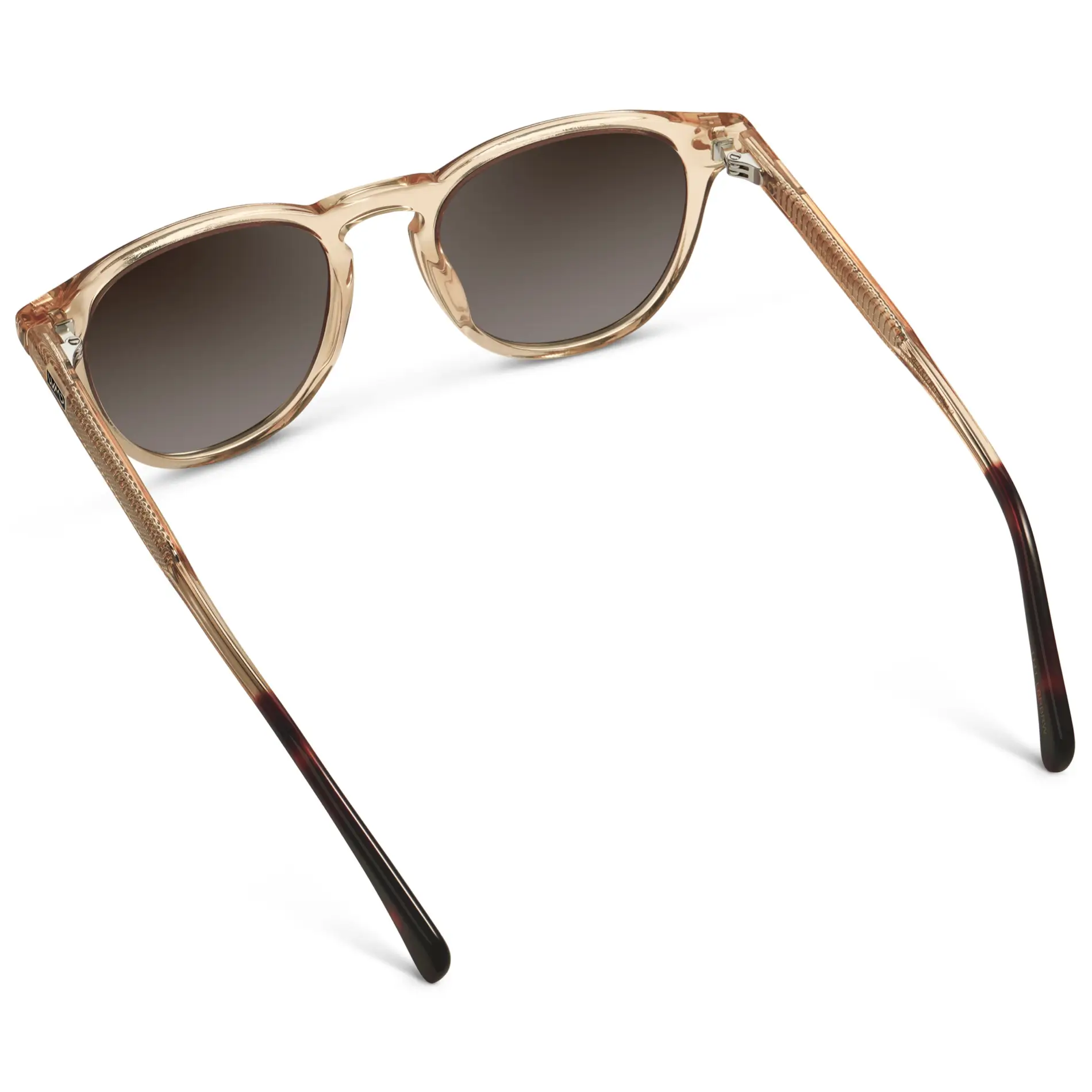 Cameron | Polarized - Image 25