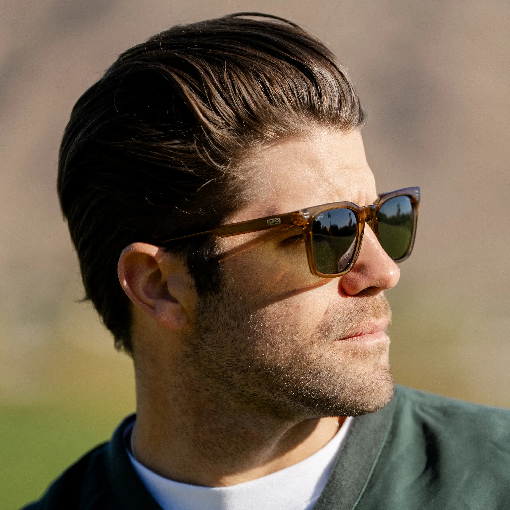Chip | Polarized - Image 21
