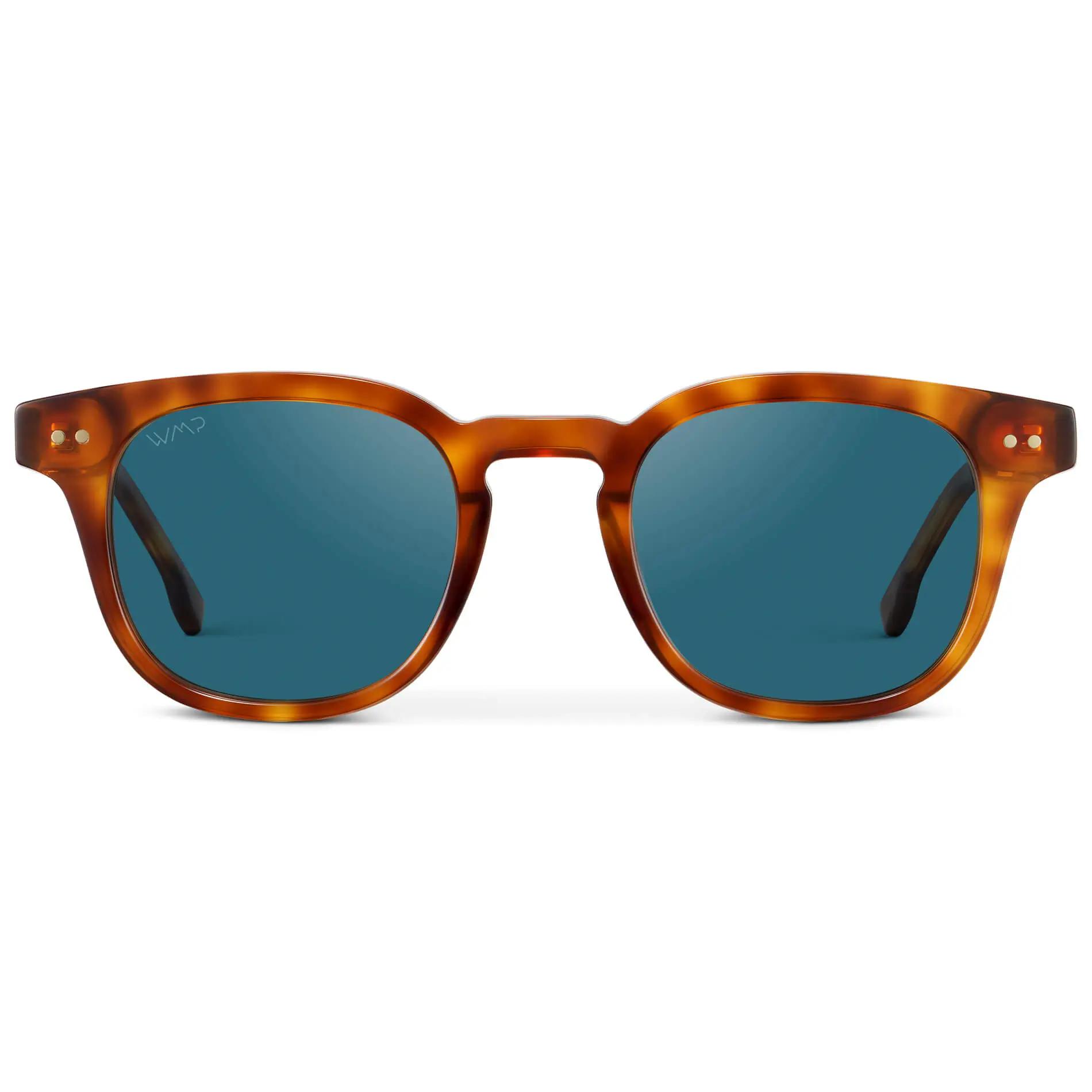 Clark | Polarized - Image 10