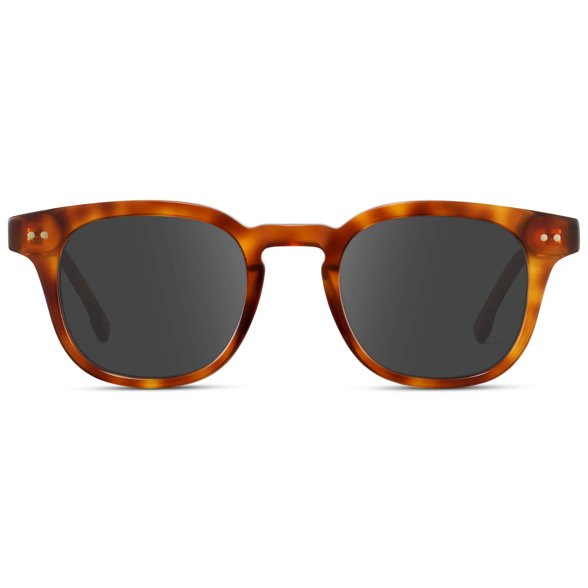 Clark | RX - Image 27