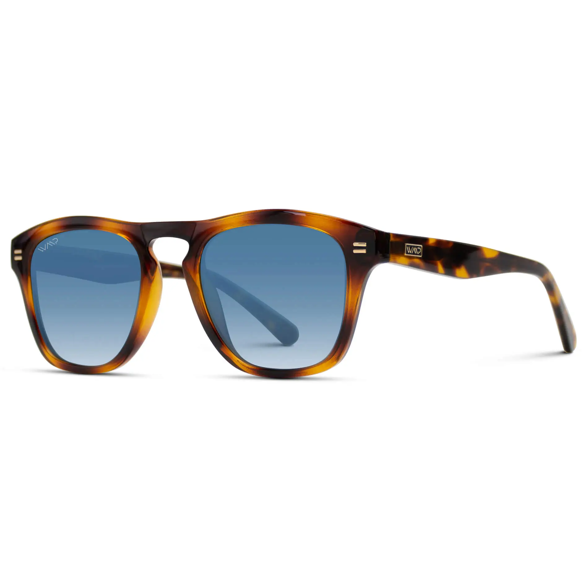 Dash | Polarized - Image 10