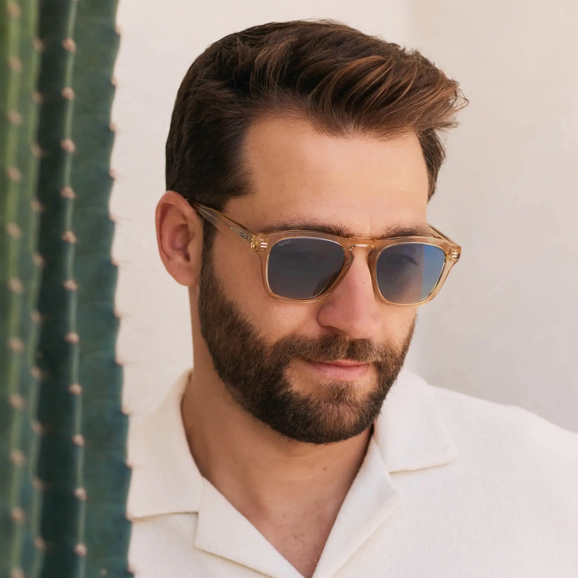 Dash | Polarized - Image 20