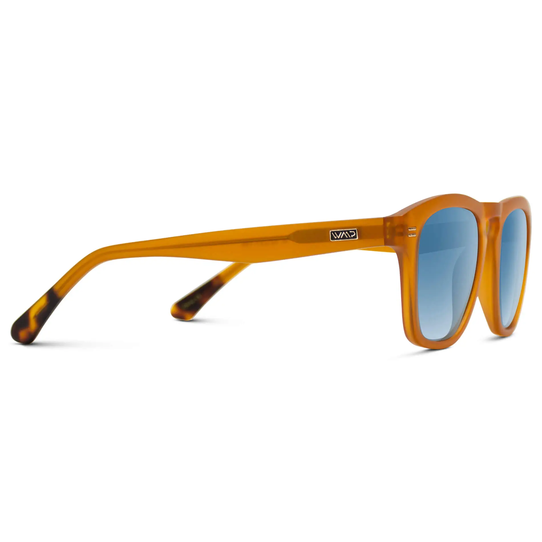Dash | Polarized - Image 34