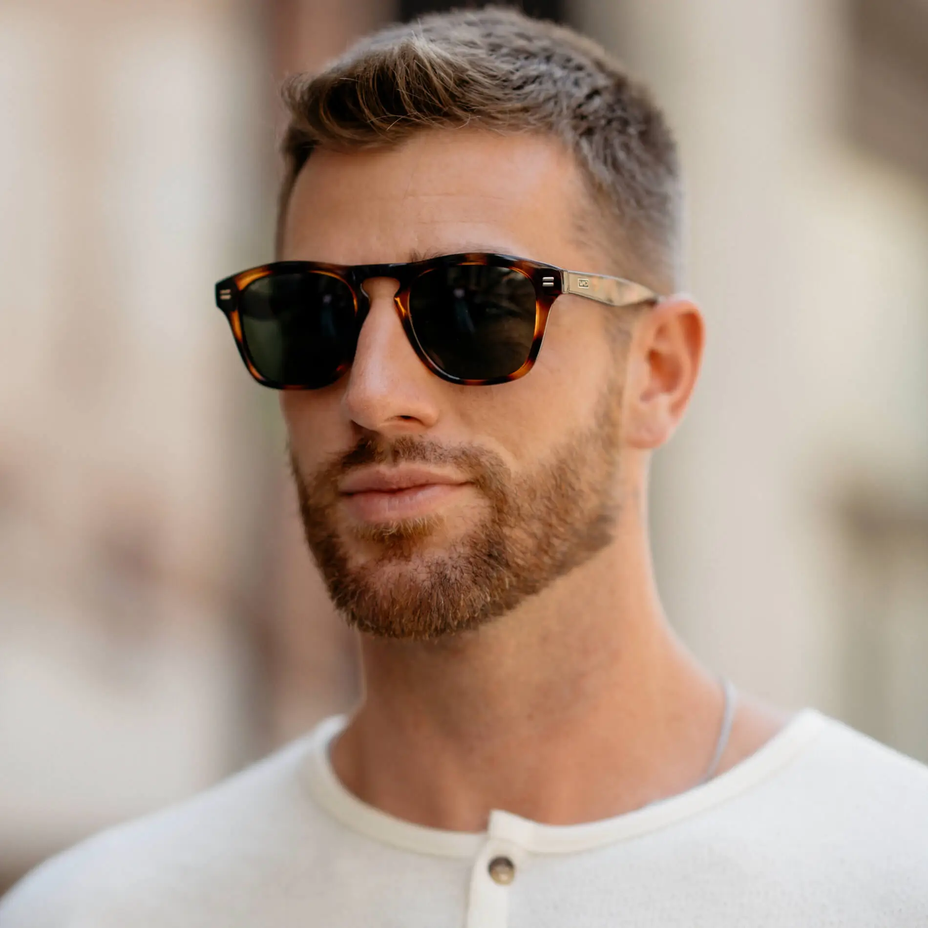 Dash | Polarized - Image 38