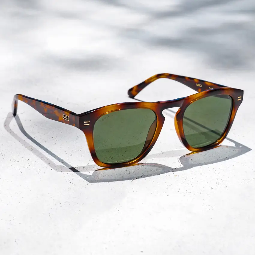 Dash | Polarized - Image 42