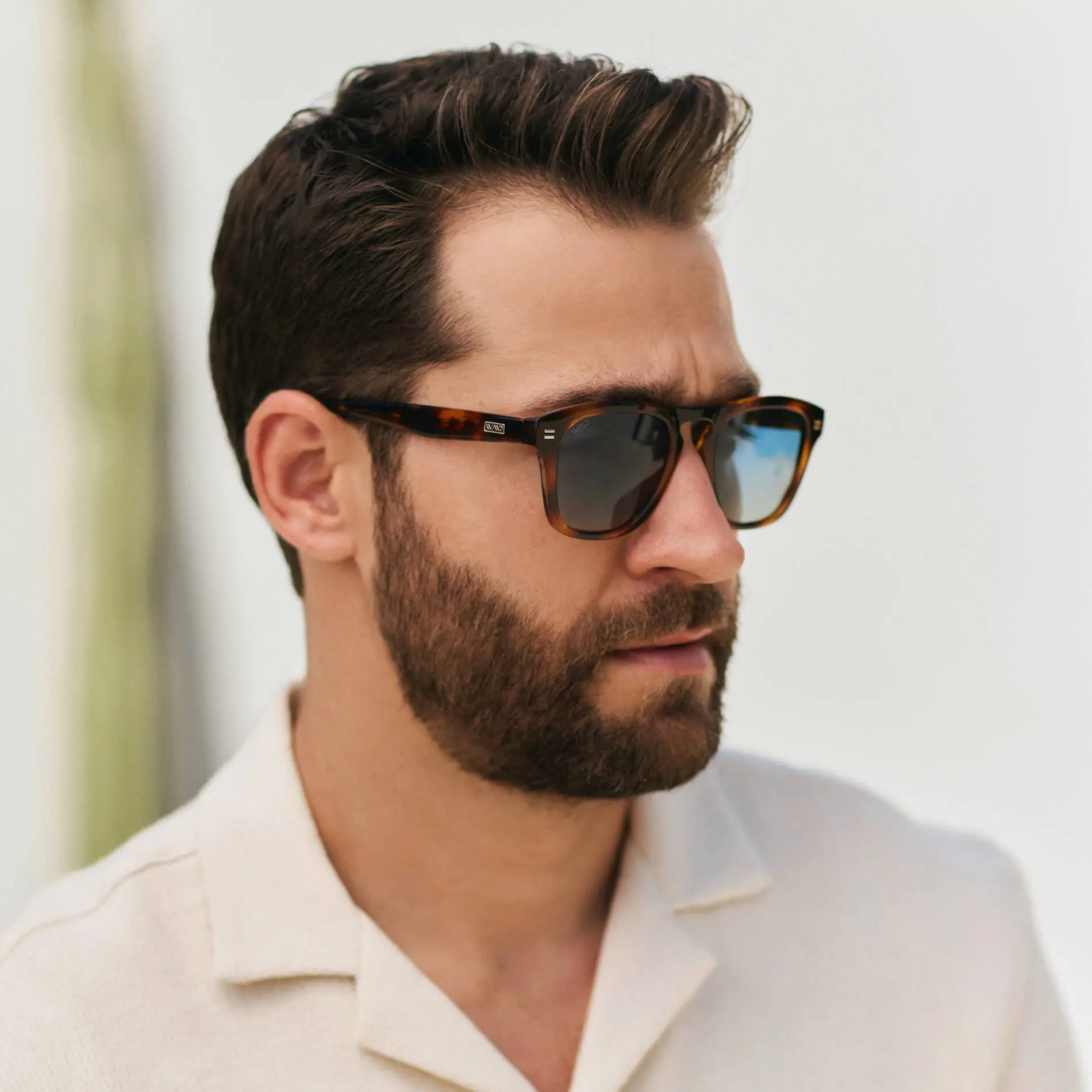 Dash | Polarized - Image 8