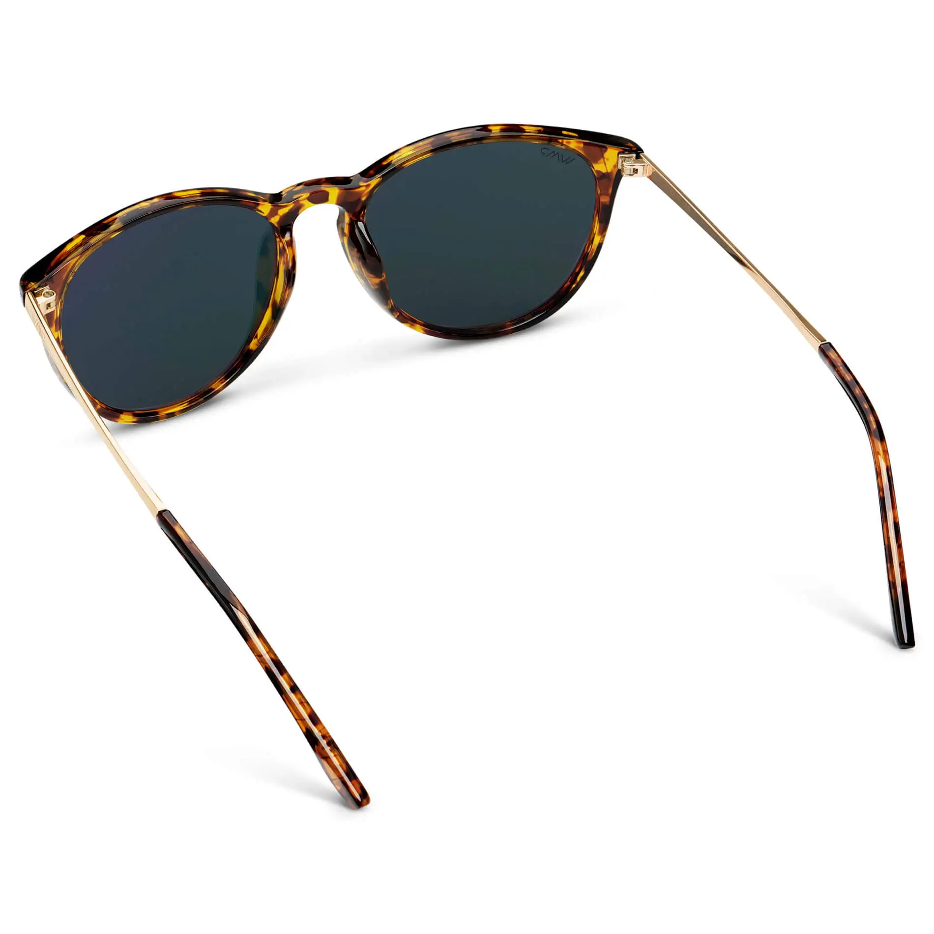 Drew | Polarized - Image 20