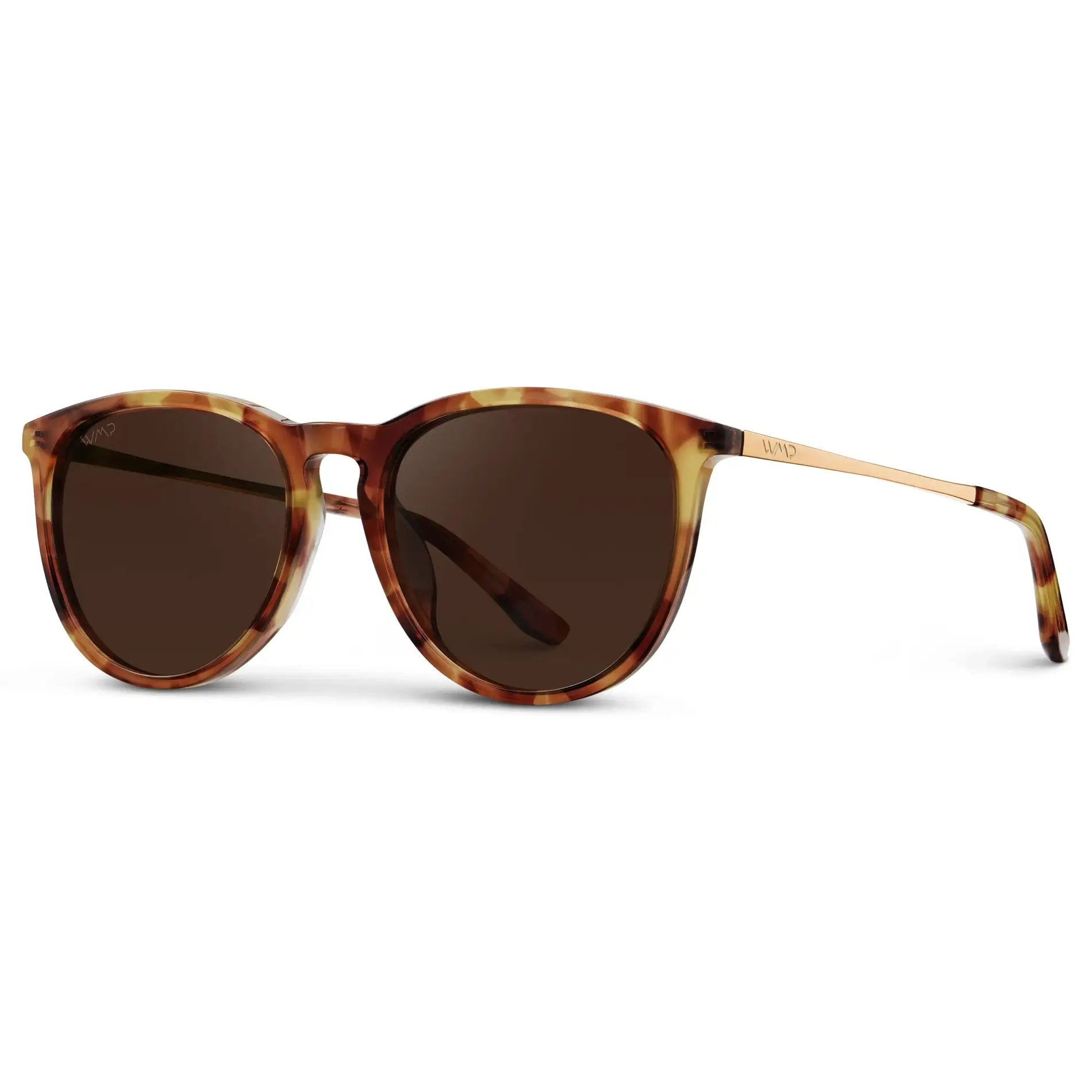 Drew | Polarized - Image 29