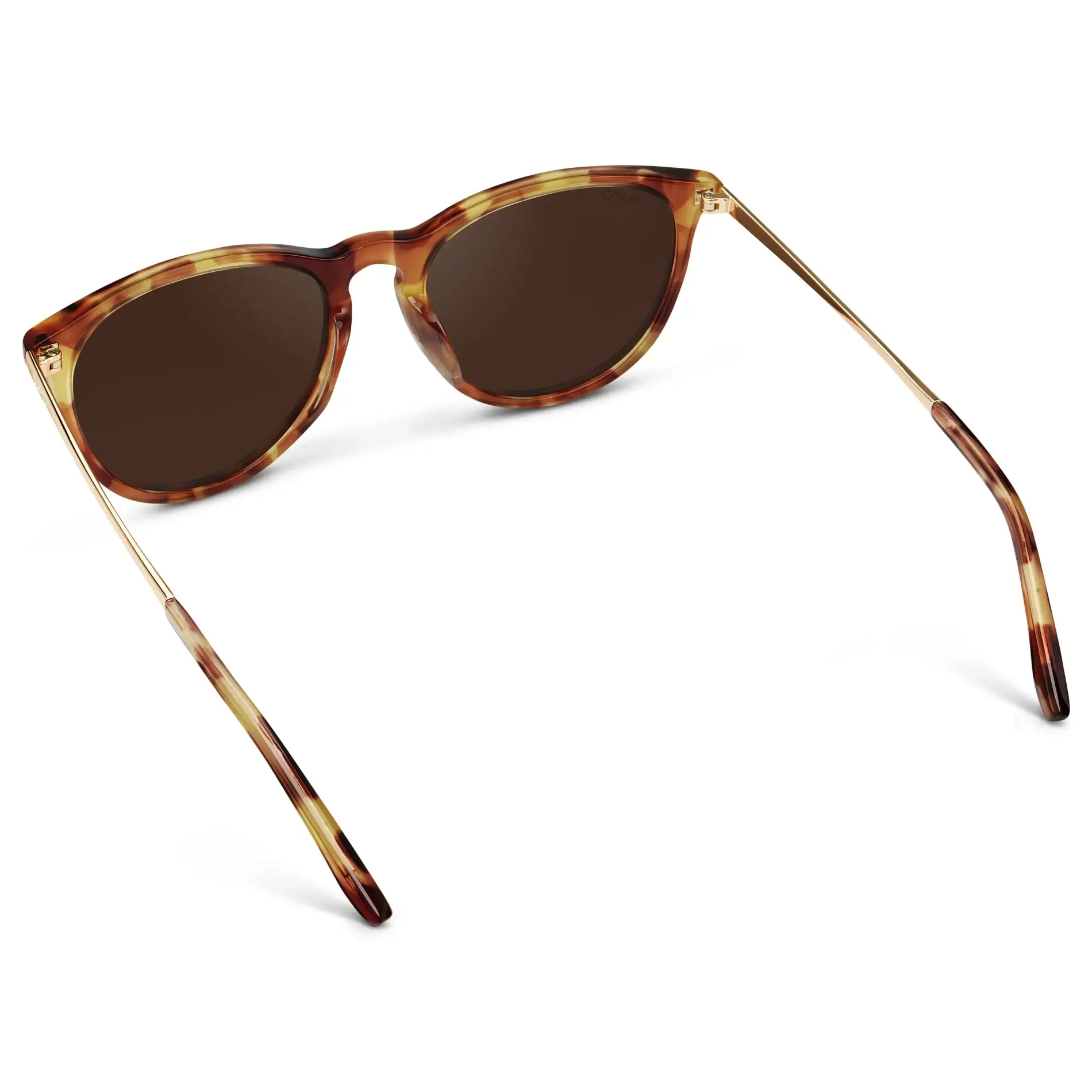 Drew | Polarized - Image 30