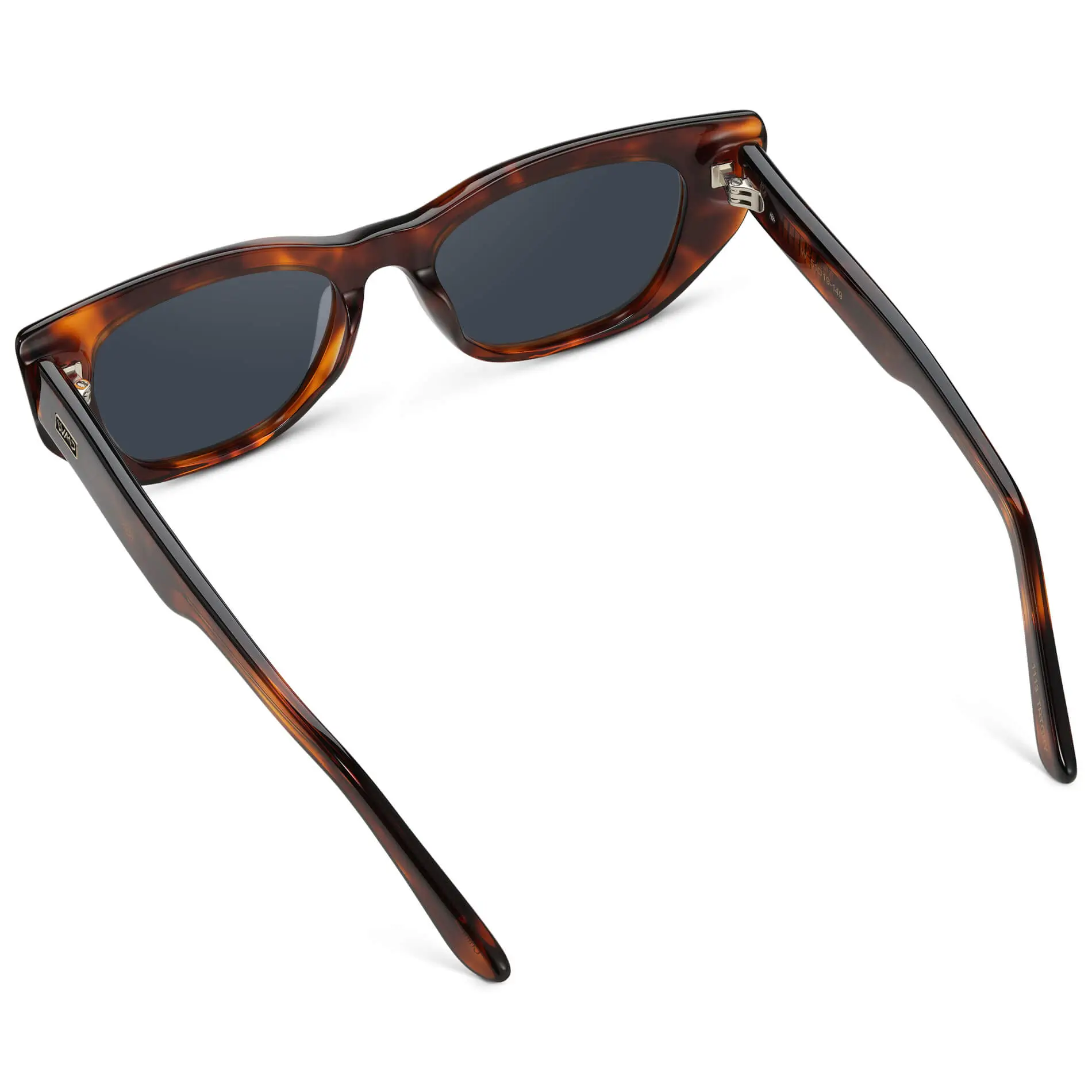 Evelyn | Polarized - Image 14