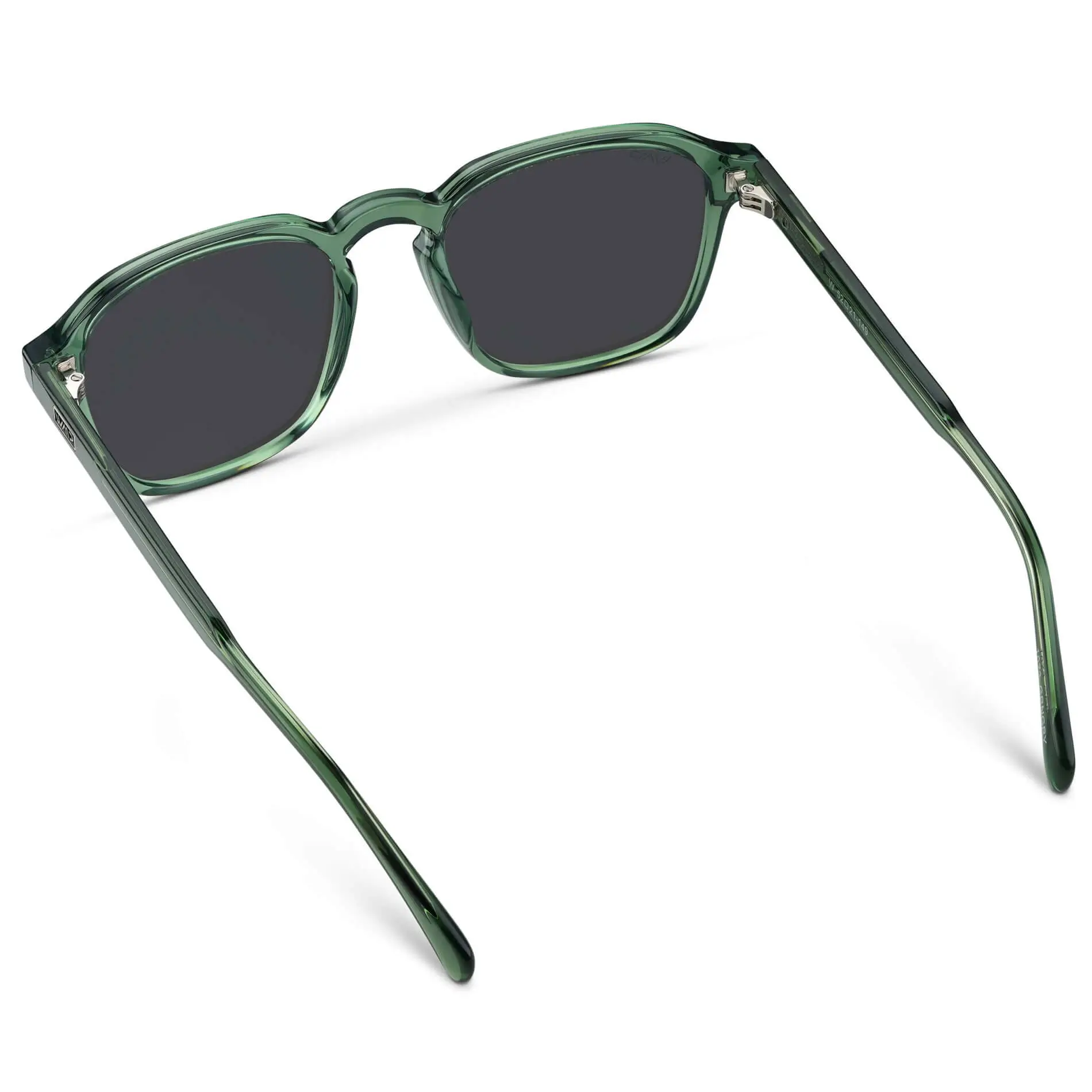 Francis | Polarized - Image 10
