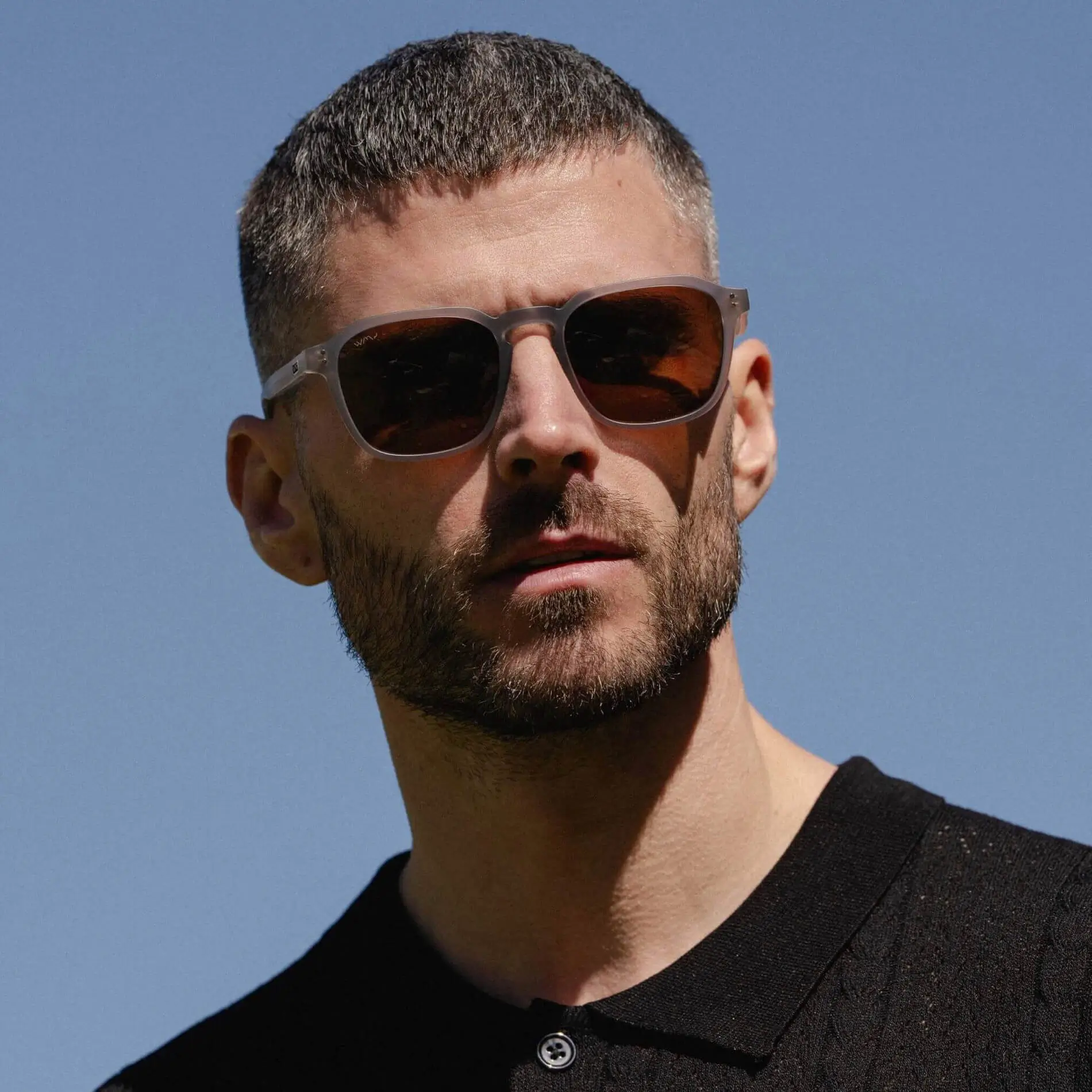 Francis | Polarized - Image 12