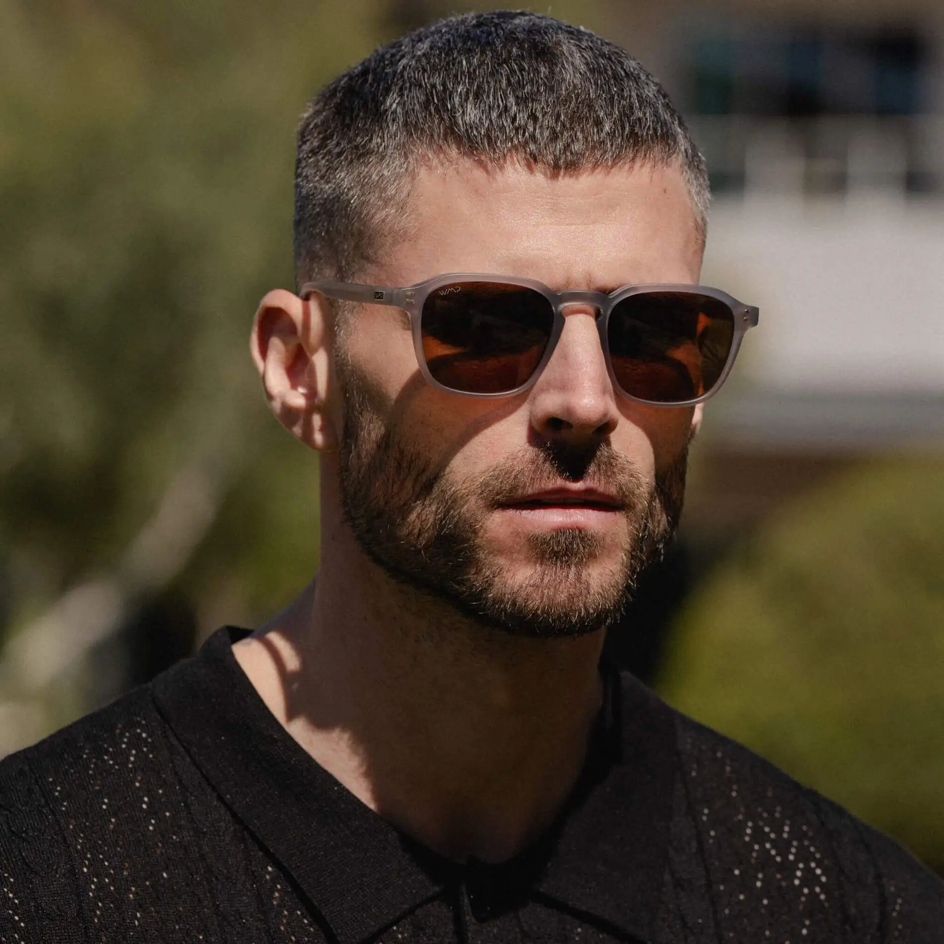 Francis | Polarized - Image 13