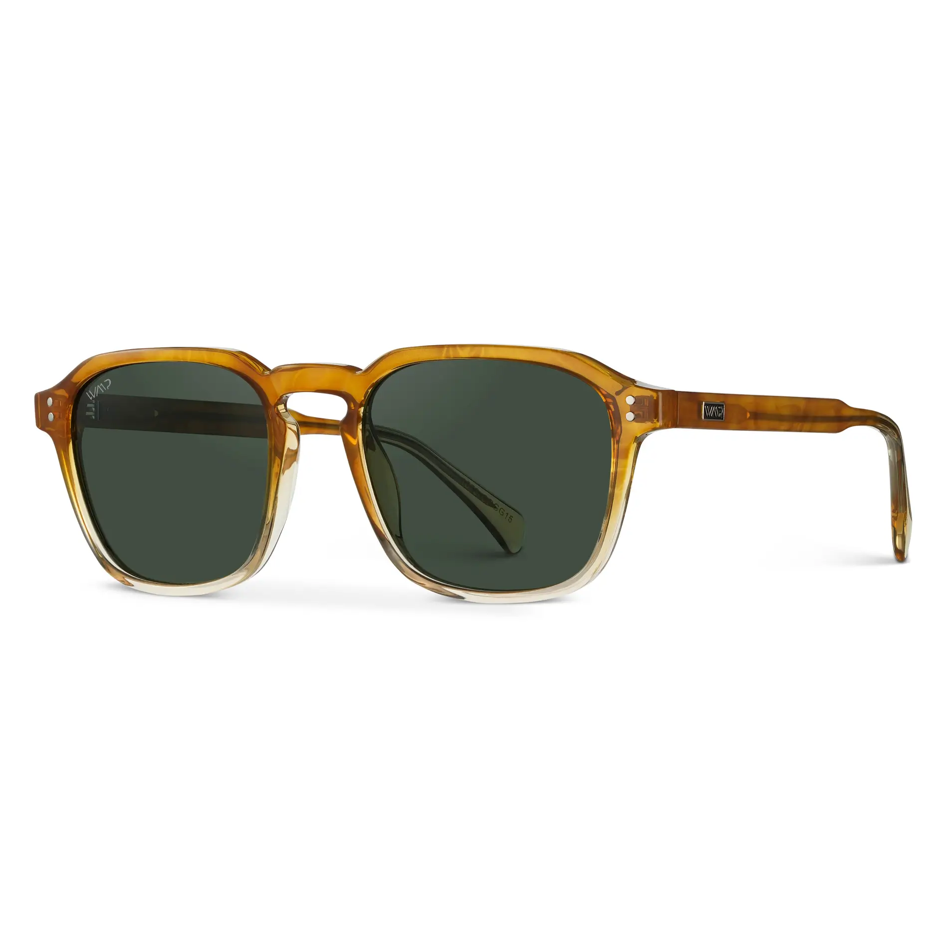 Francis | Polarized - Image 19