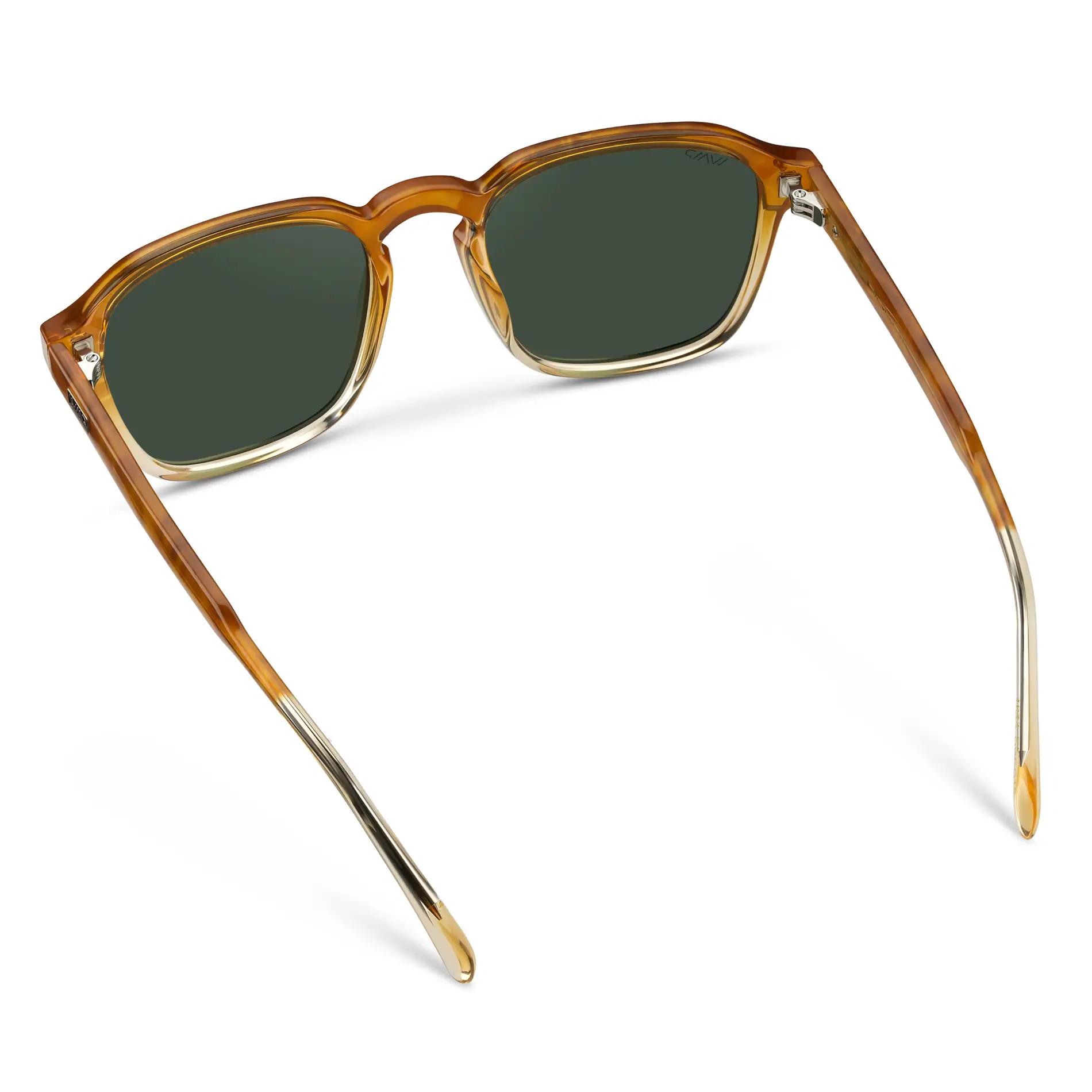 Francis | Polarized - Image 20