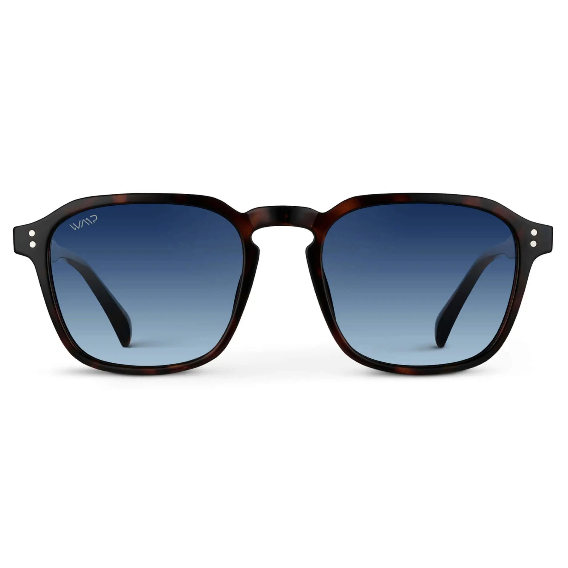 Francis | Polarized - Image 21