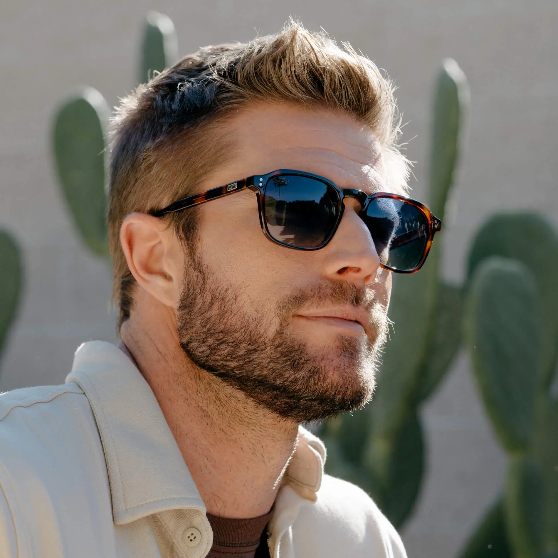 Francis | Polarized - Image 23