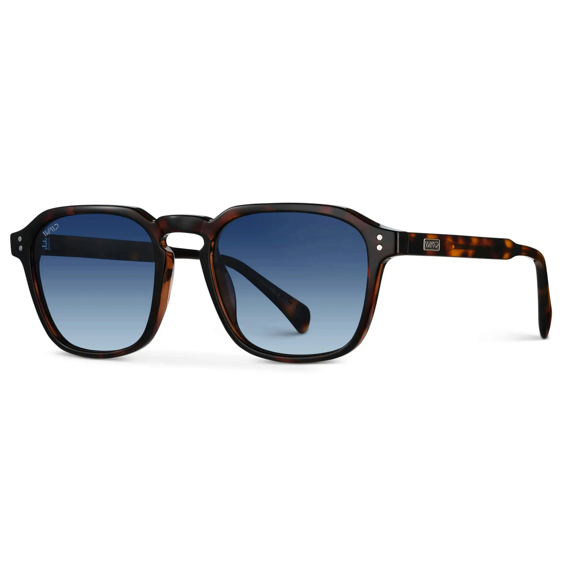 Francis | Polarized - Image 24