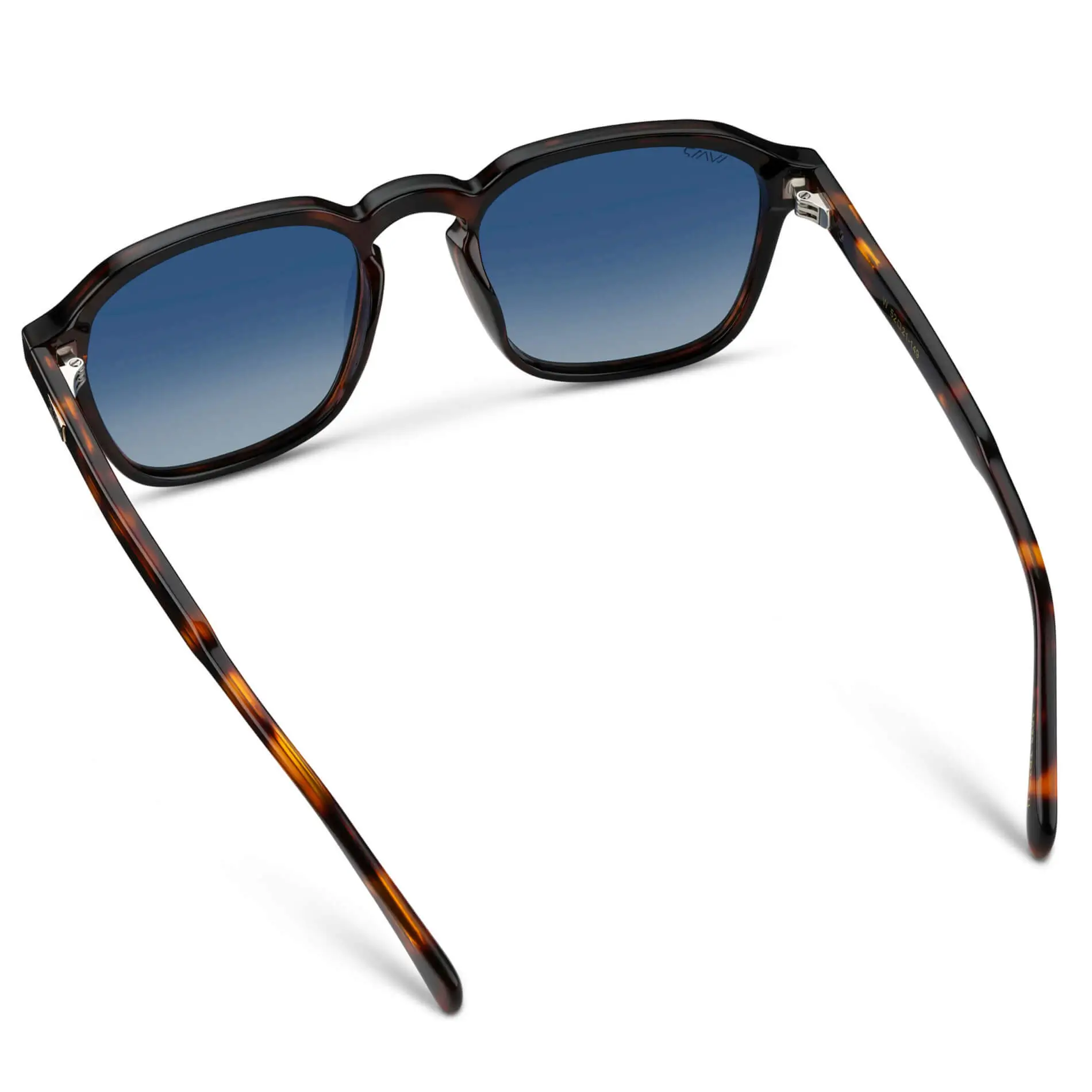 Francis | Polarized - Image 25
