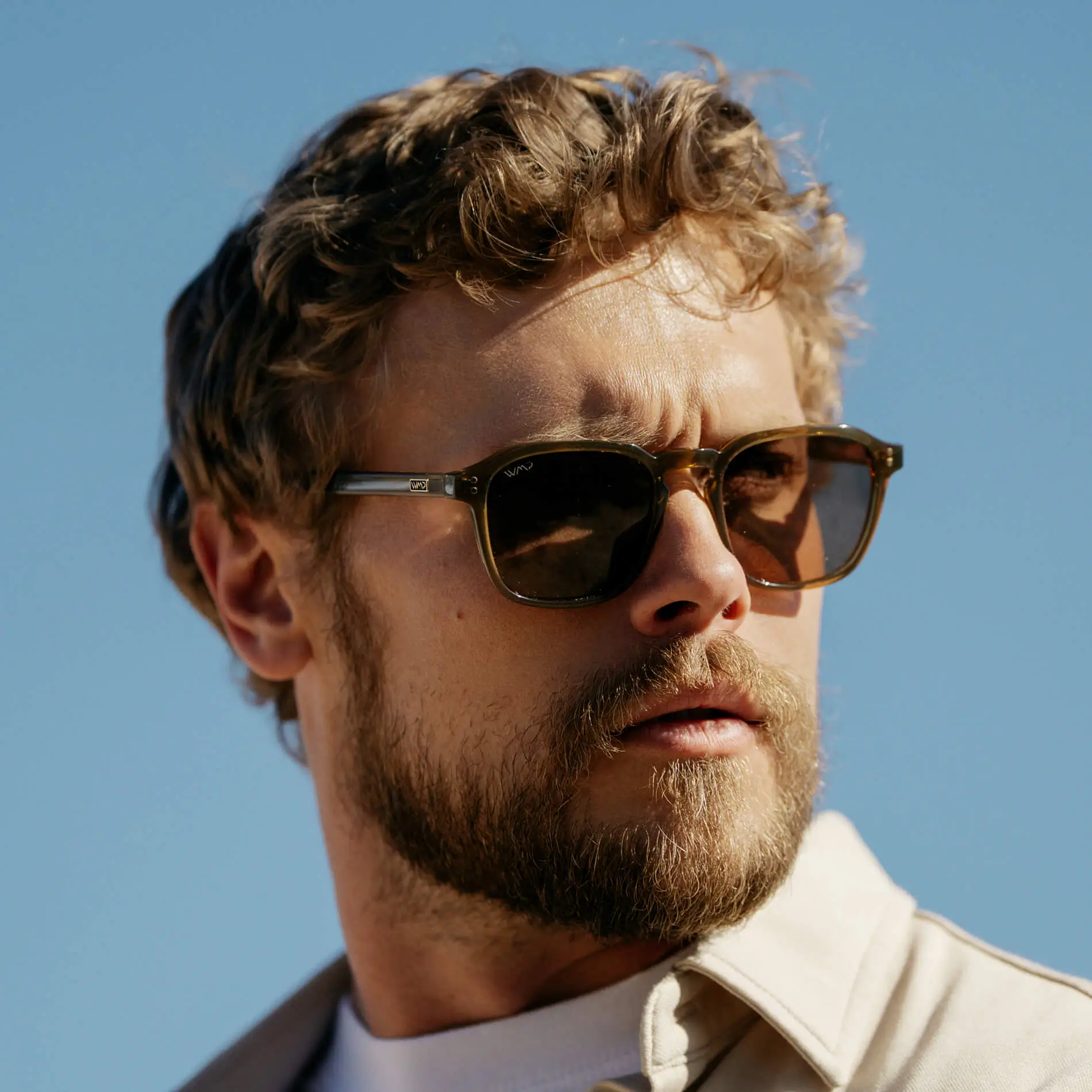 Francis | Polarized - Image 27