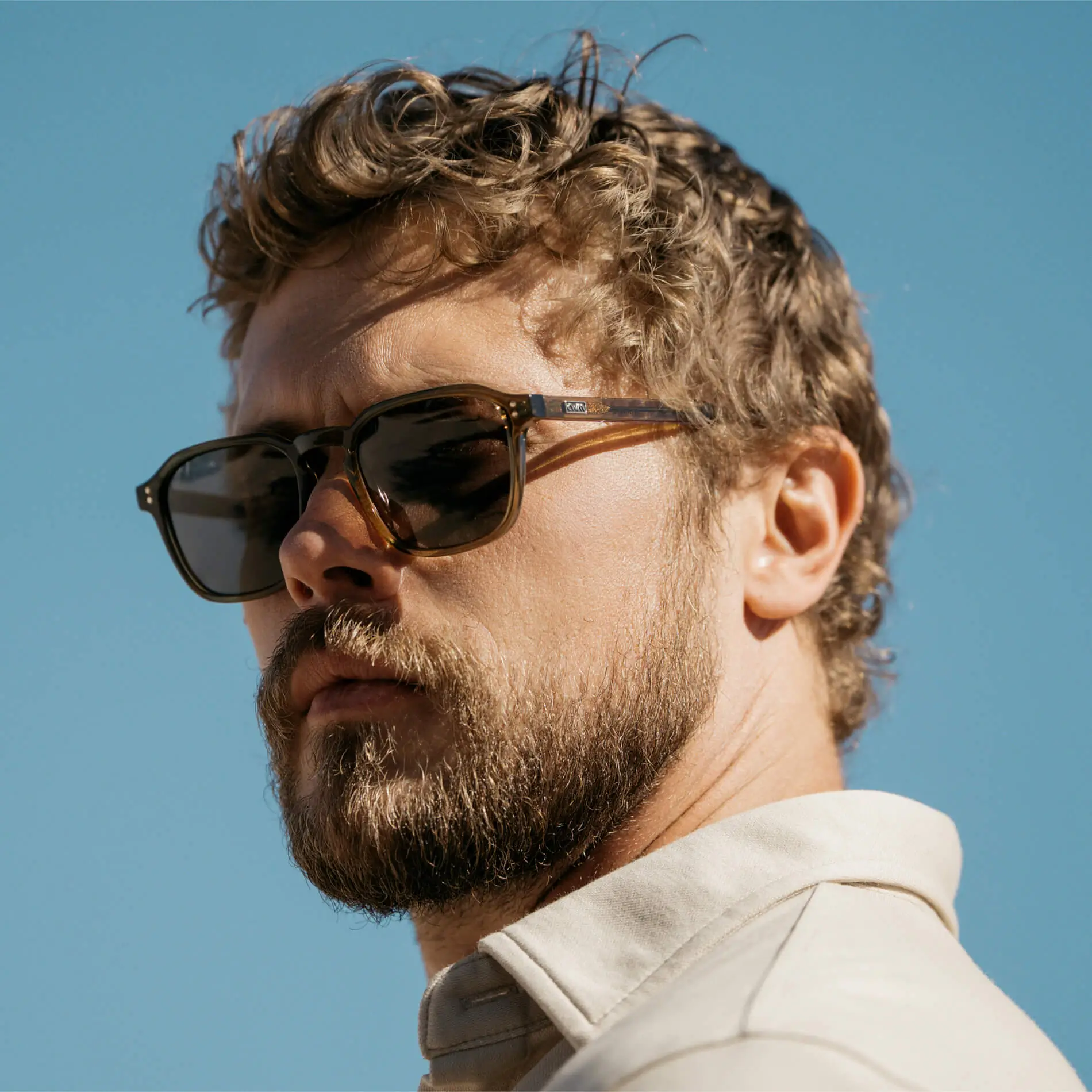 Francis | Polarized - Image 28