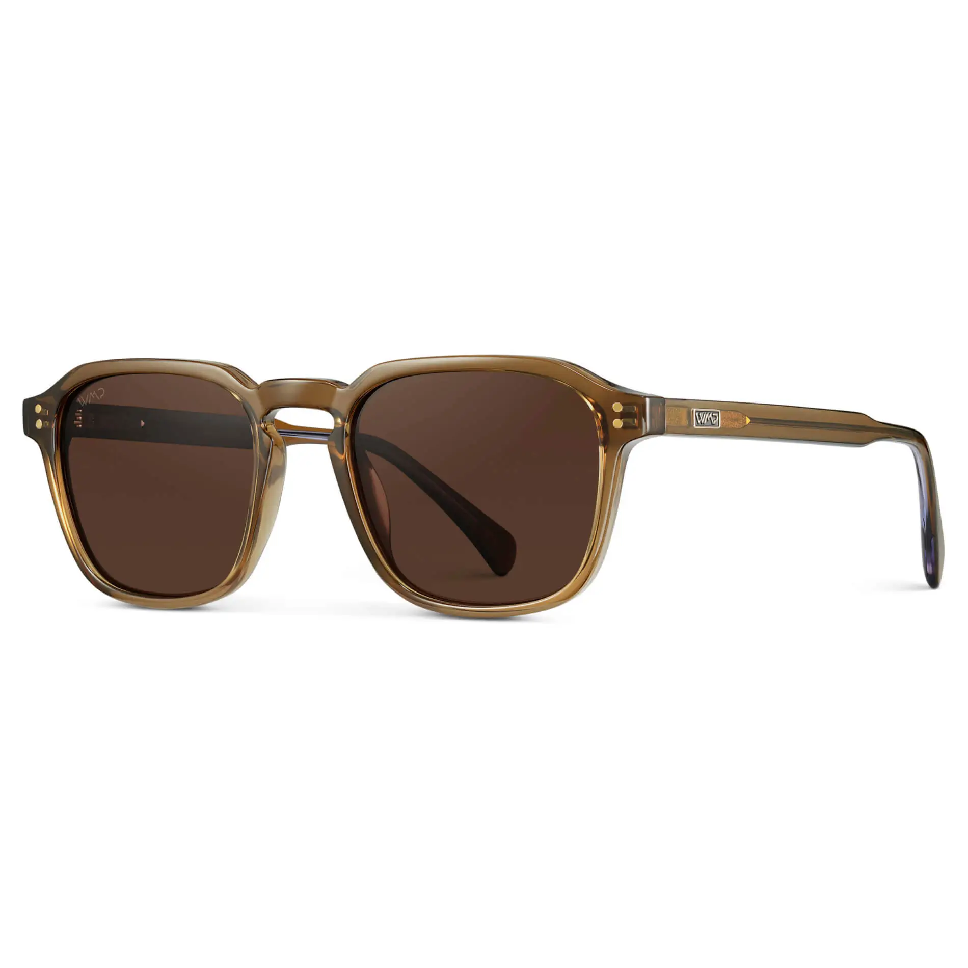 Francis | Polarized - Image 29