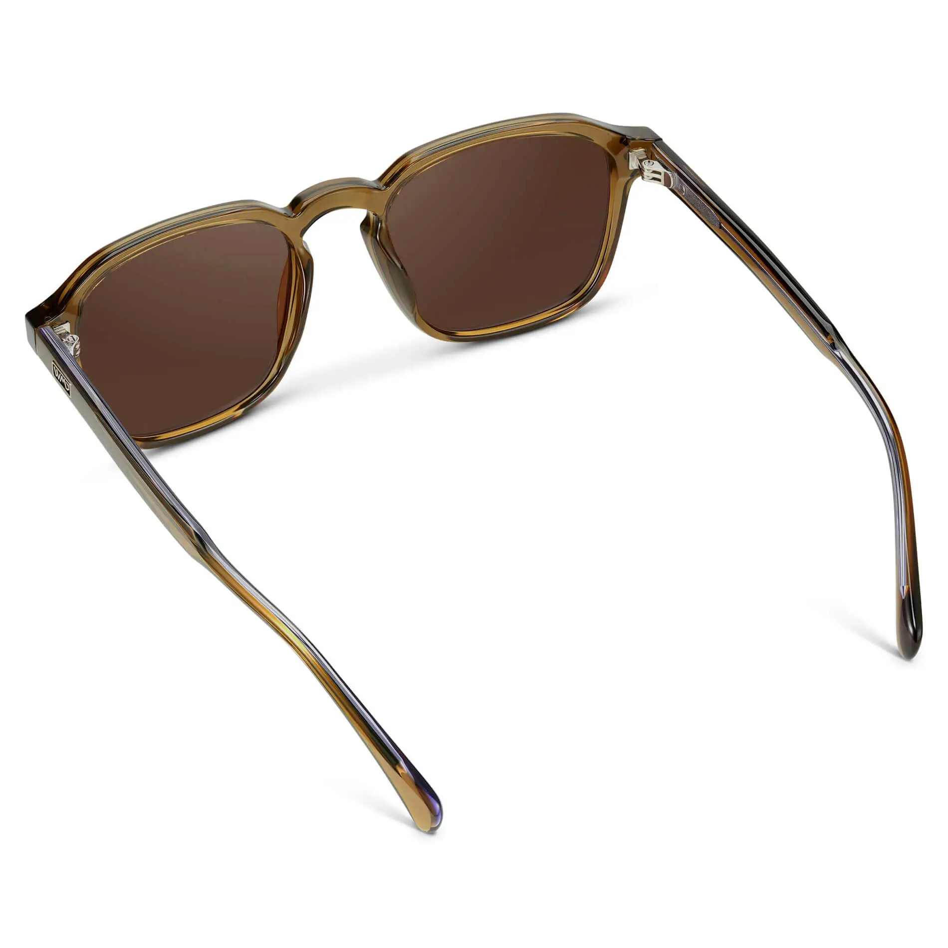 Francis | Polarized - Image 30