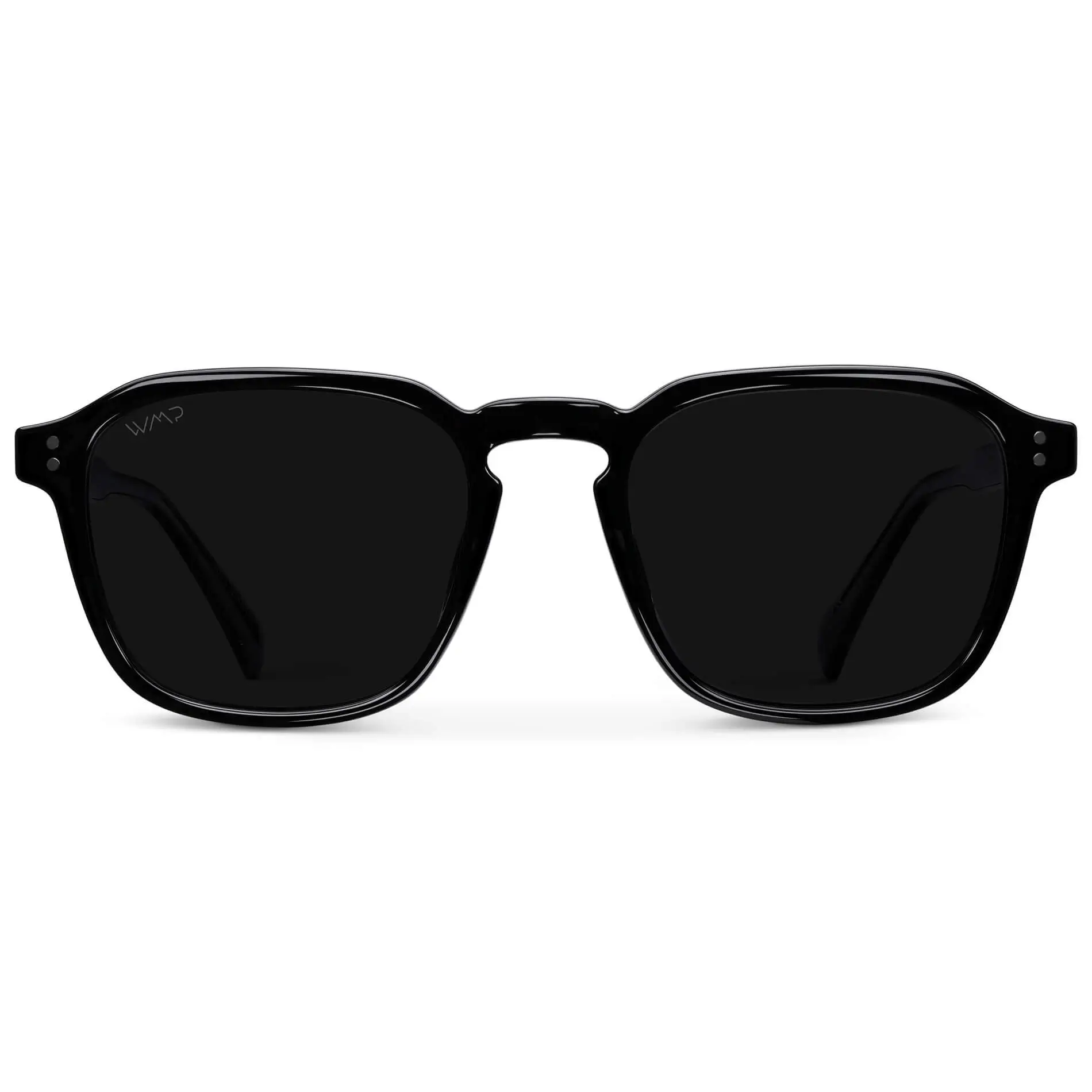 Francis | Polarized - Image 31