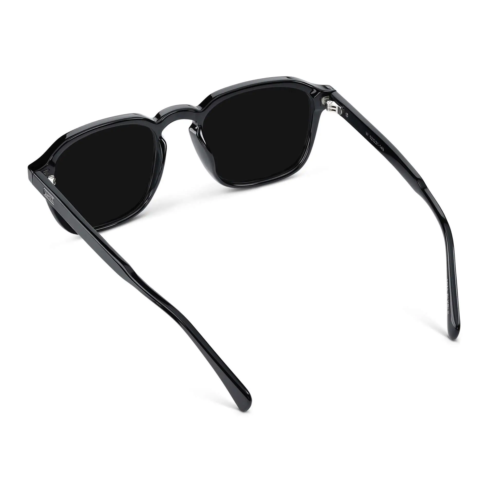 Francis | Polarized - Image 35