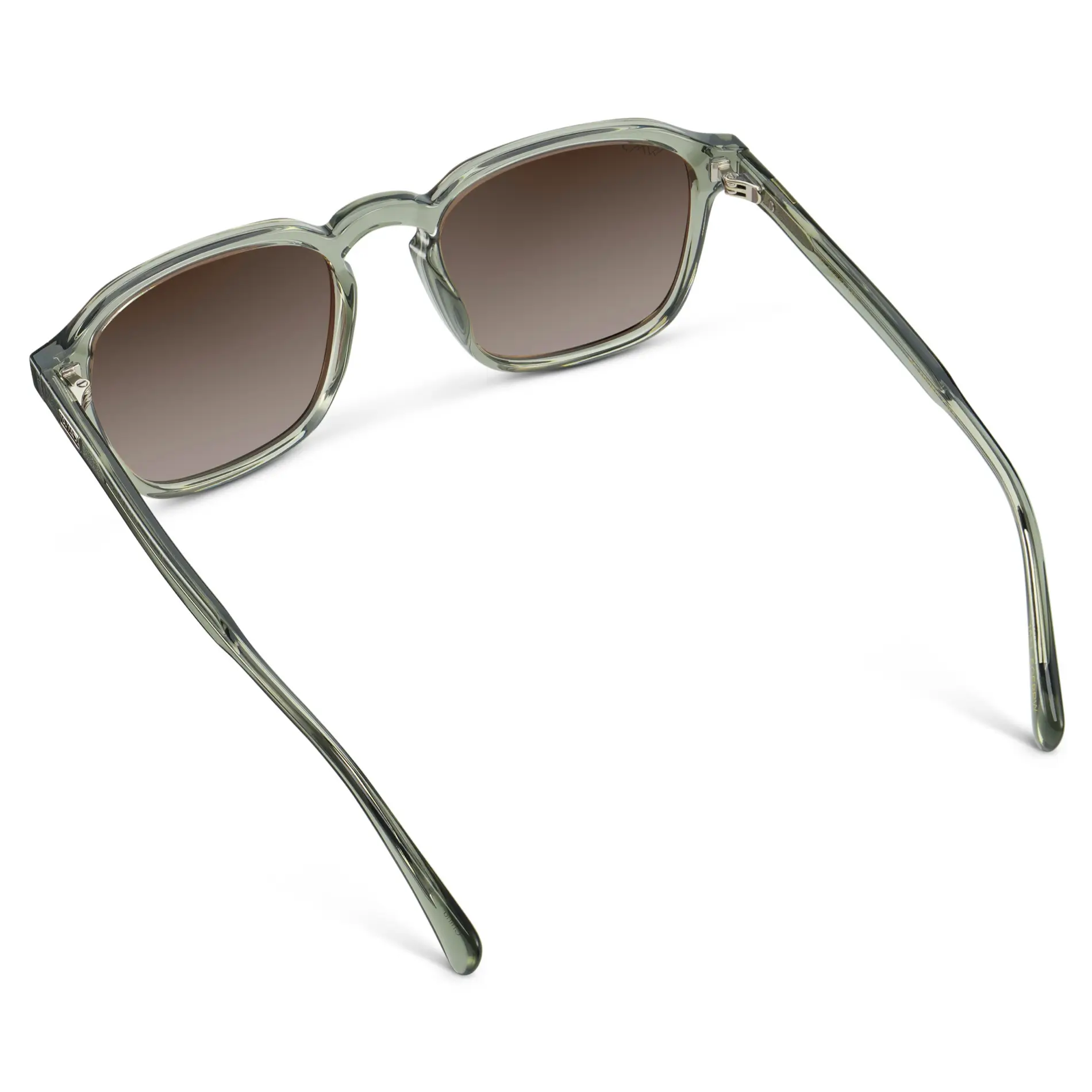 Francis | Polarized - Image 40