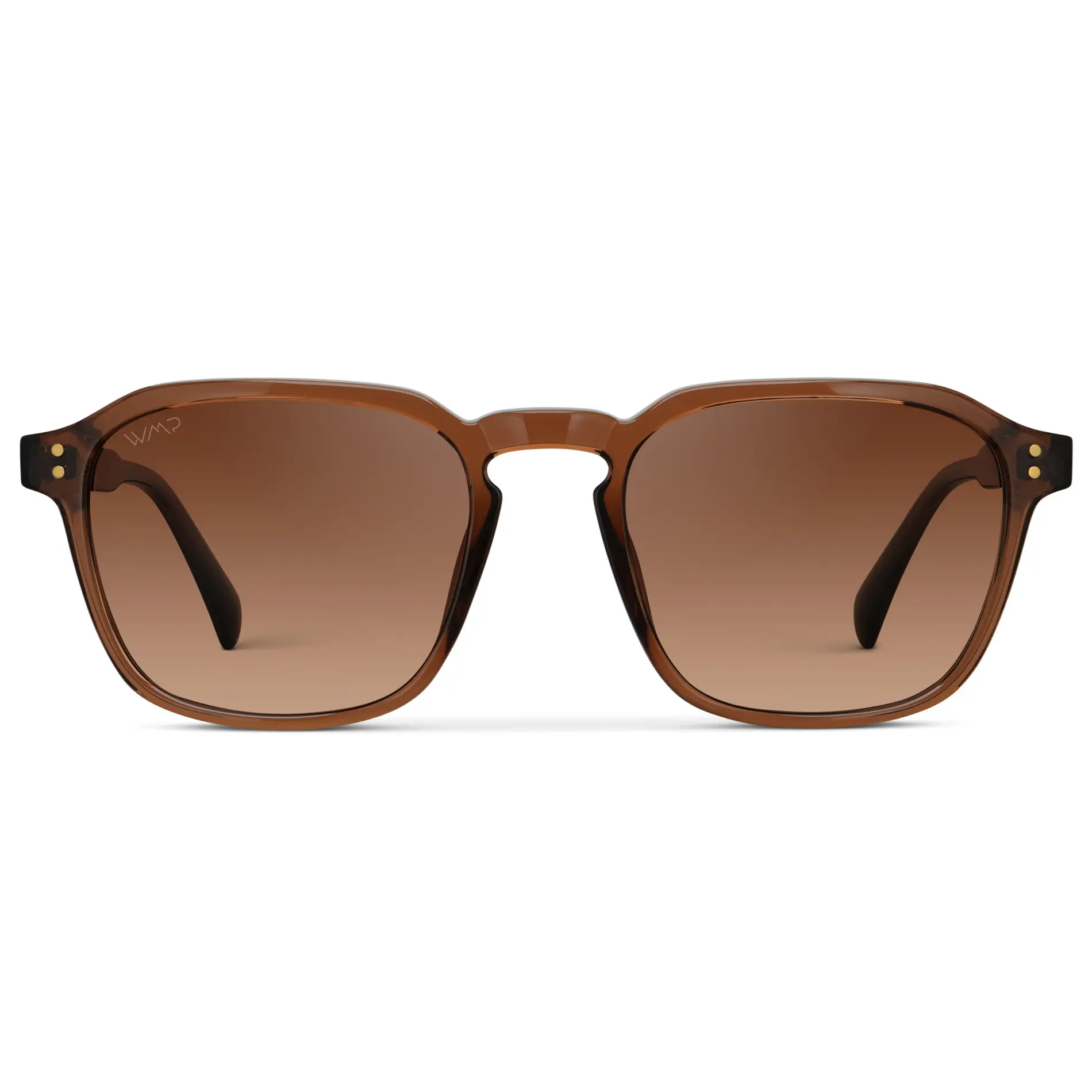 Francis | Polarized - Image 41