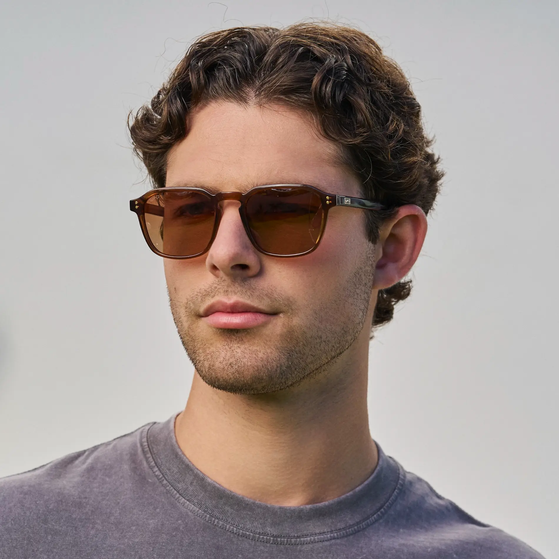 Francis | Polarized - Image 43