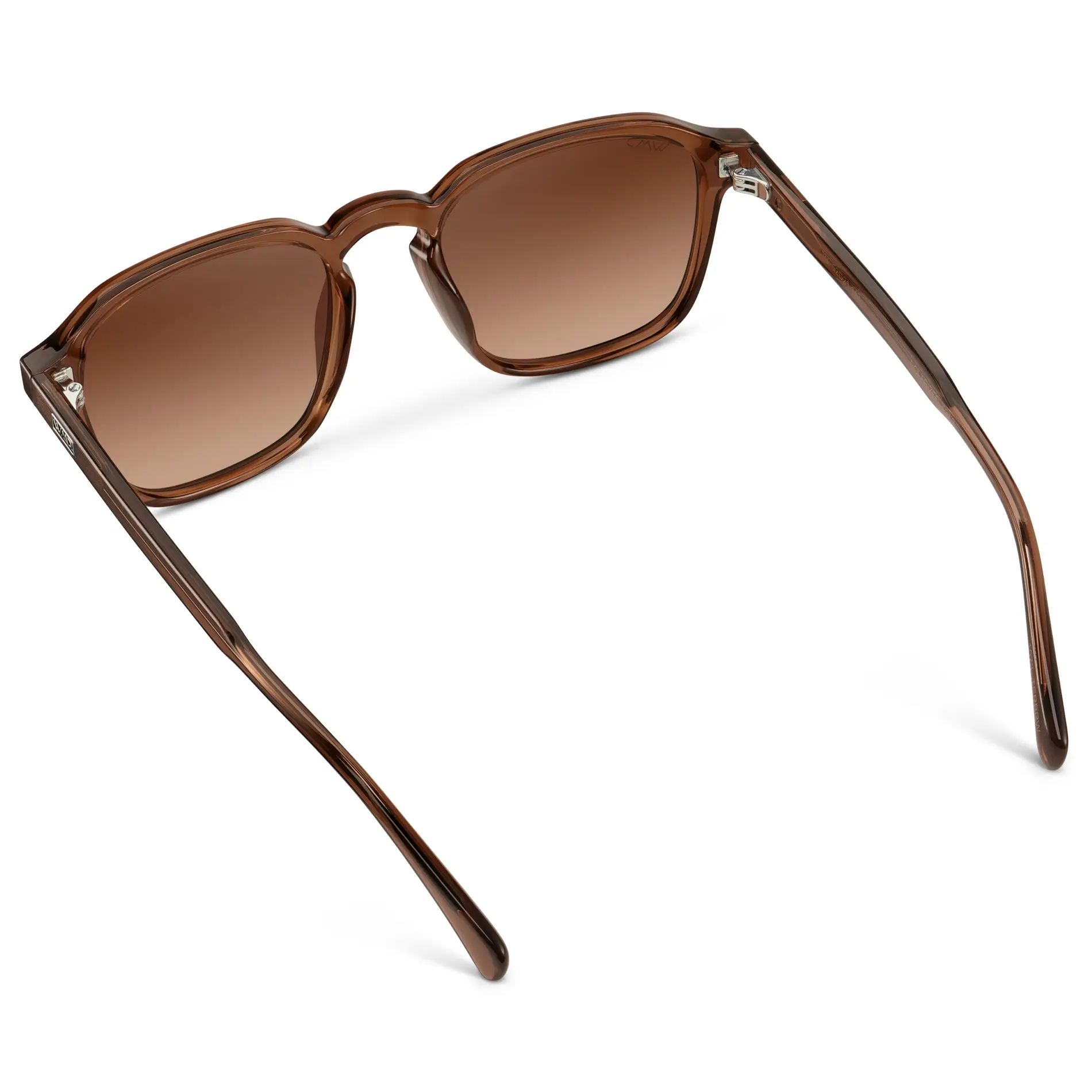 Francis | Polarized - Image 45
