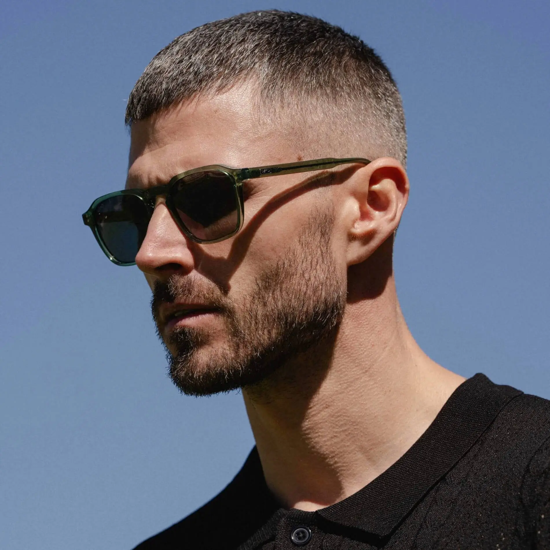Francis | Polarized - Image 8