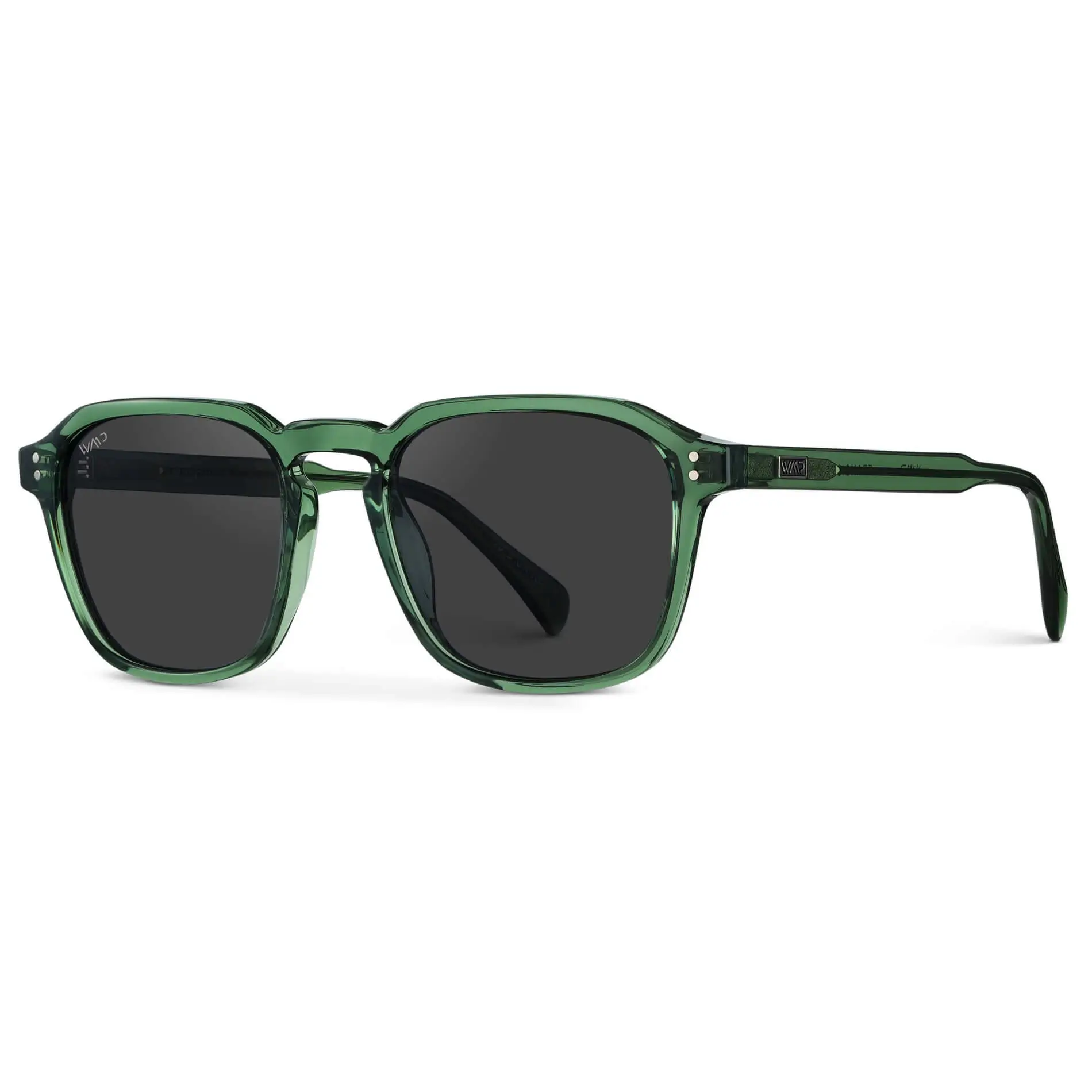 Francis | Polarized - Image 9
