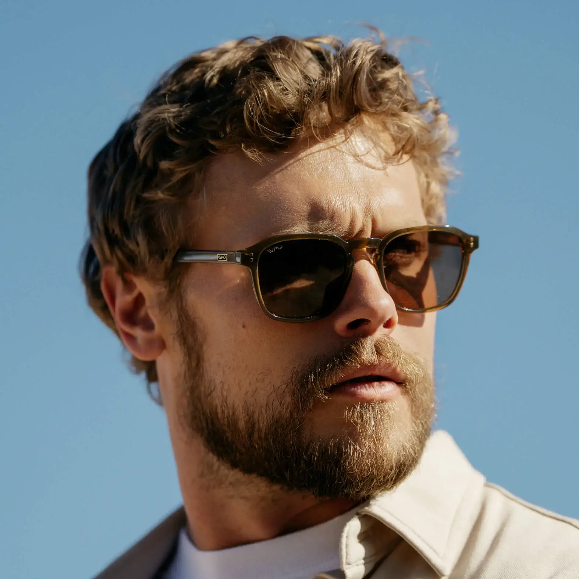 Francis | RX - Image 51