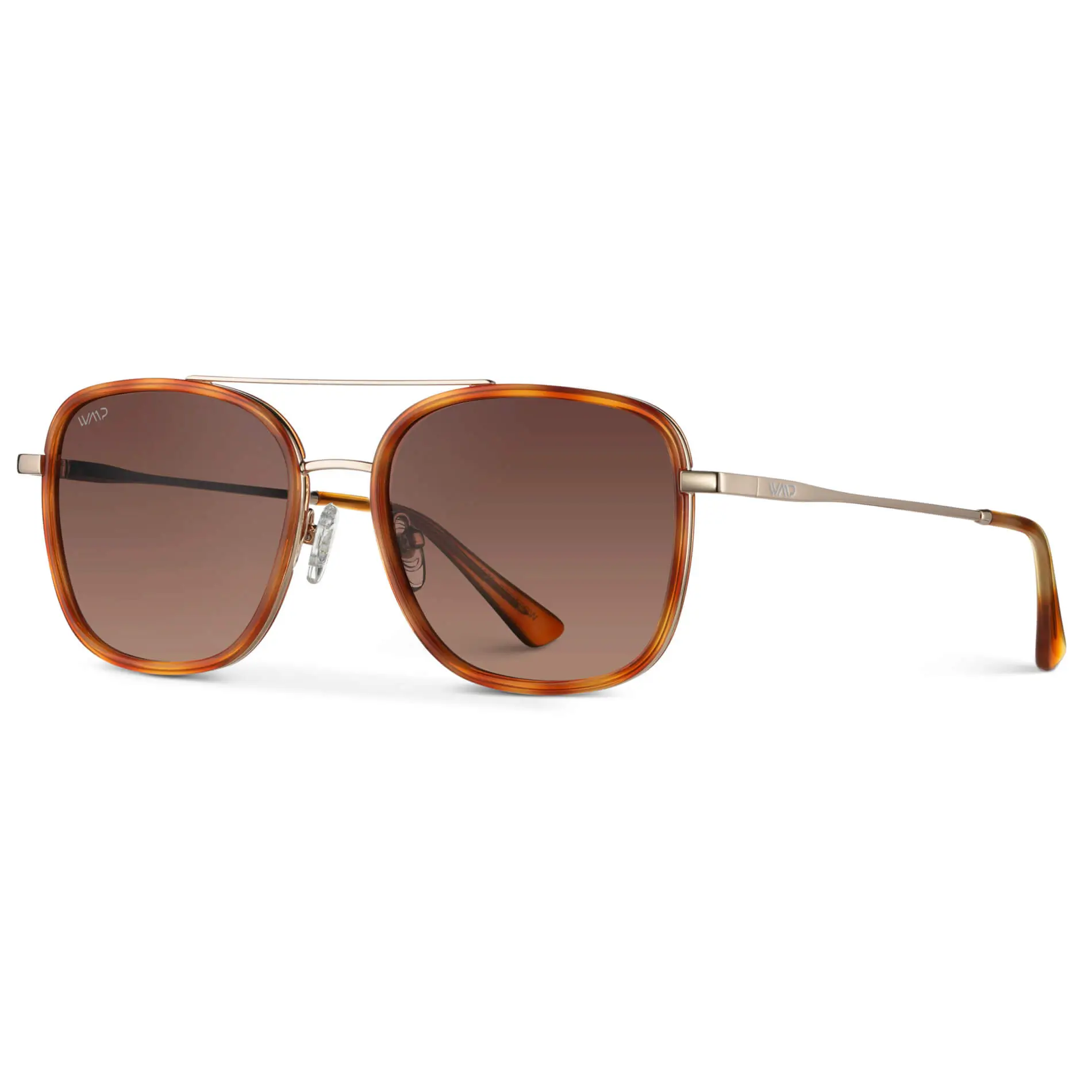 Gia | Polarized - Image 4
