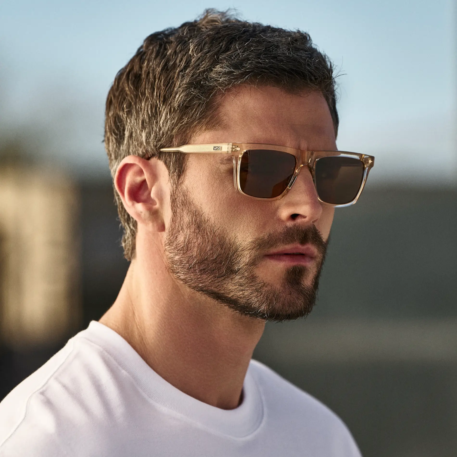 Hart | Polarized - Image 3