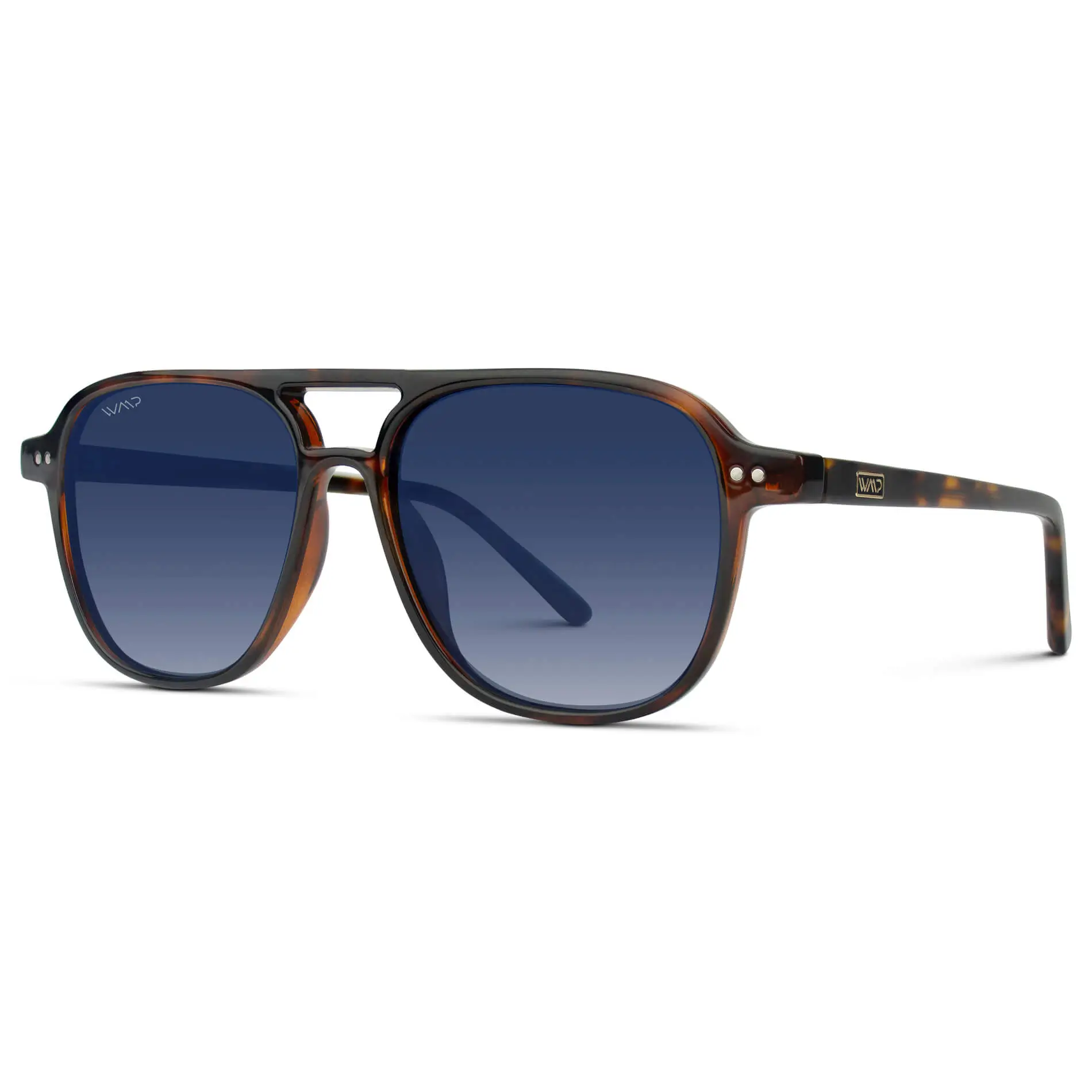 Hayden | Polarized - Image 3