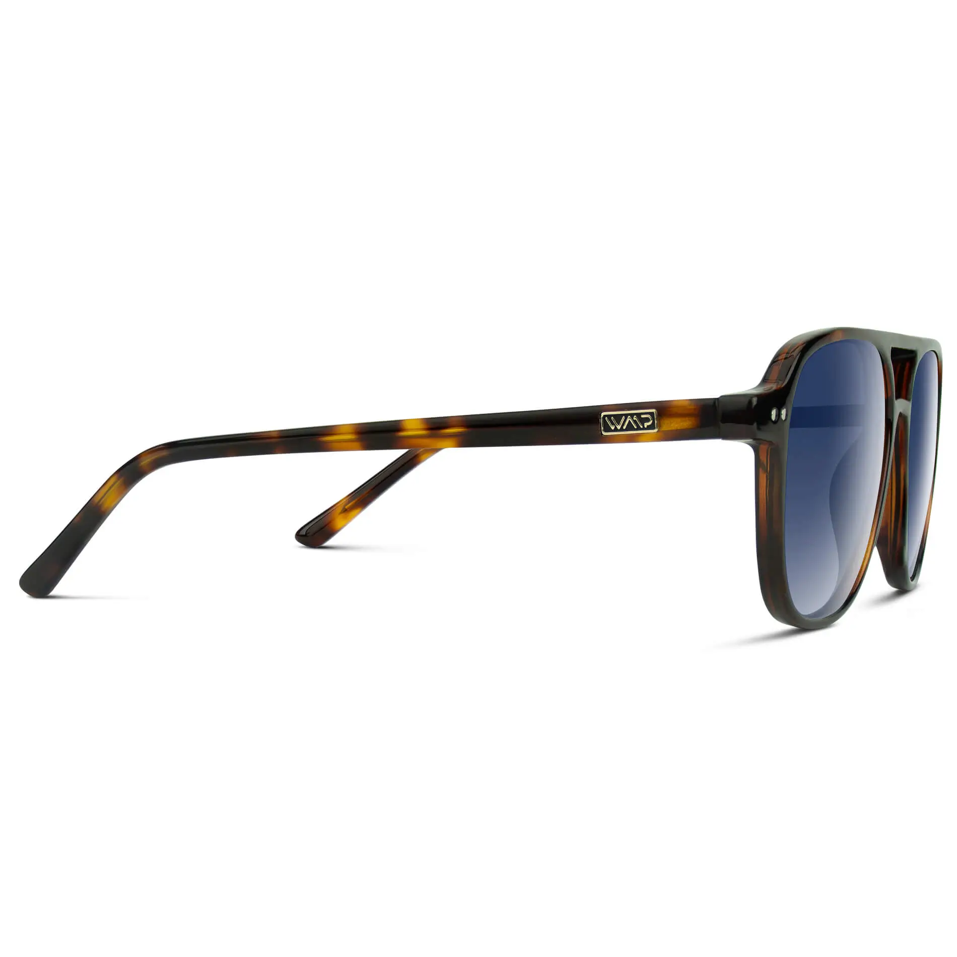 Hayden | Polarized - Image 4