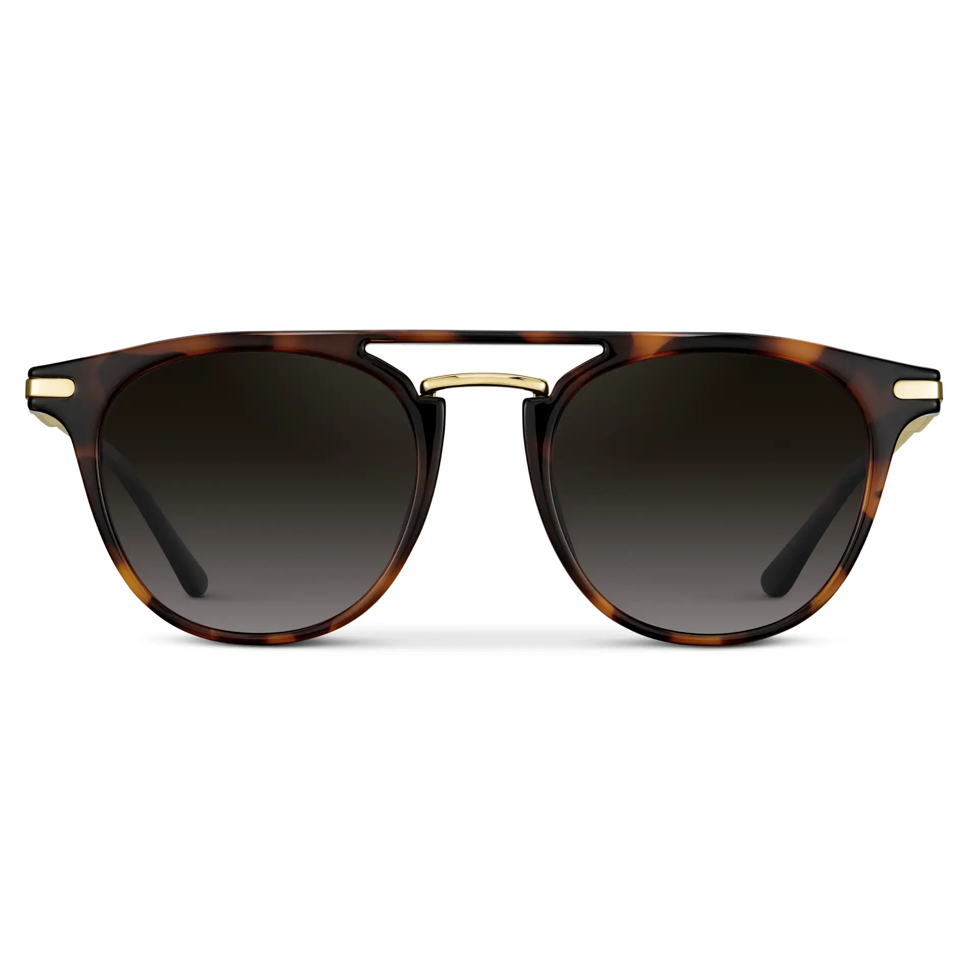 Hayes | Polarized - Image 16
