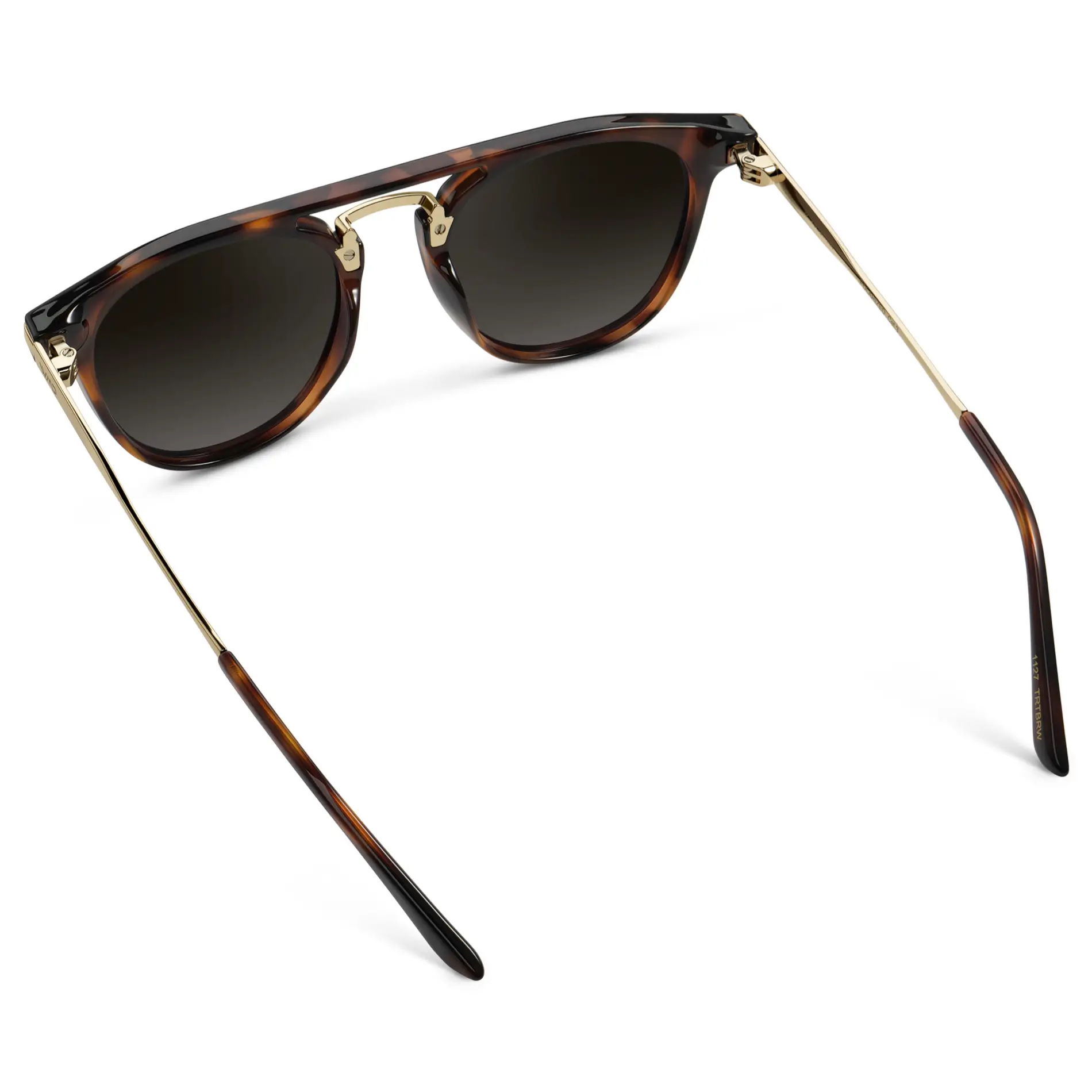 Hayes | Polarized - Image 20