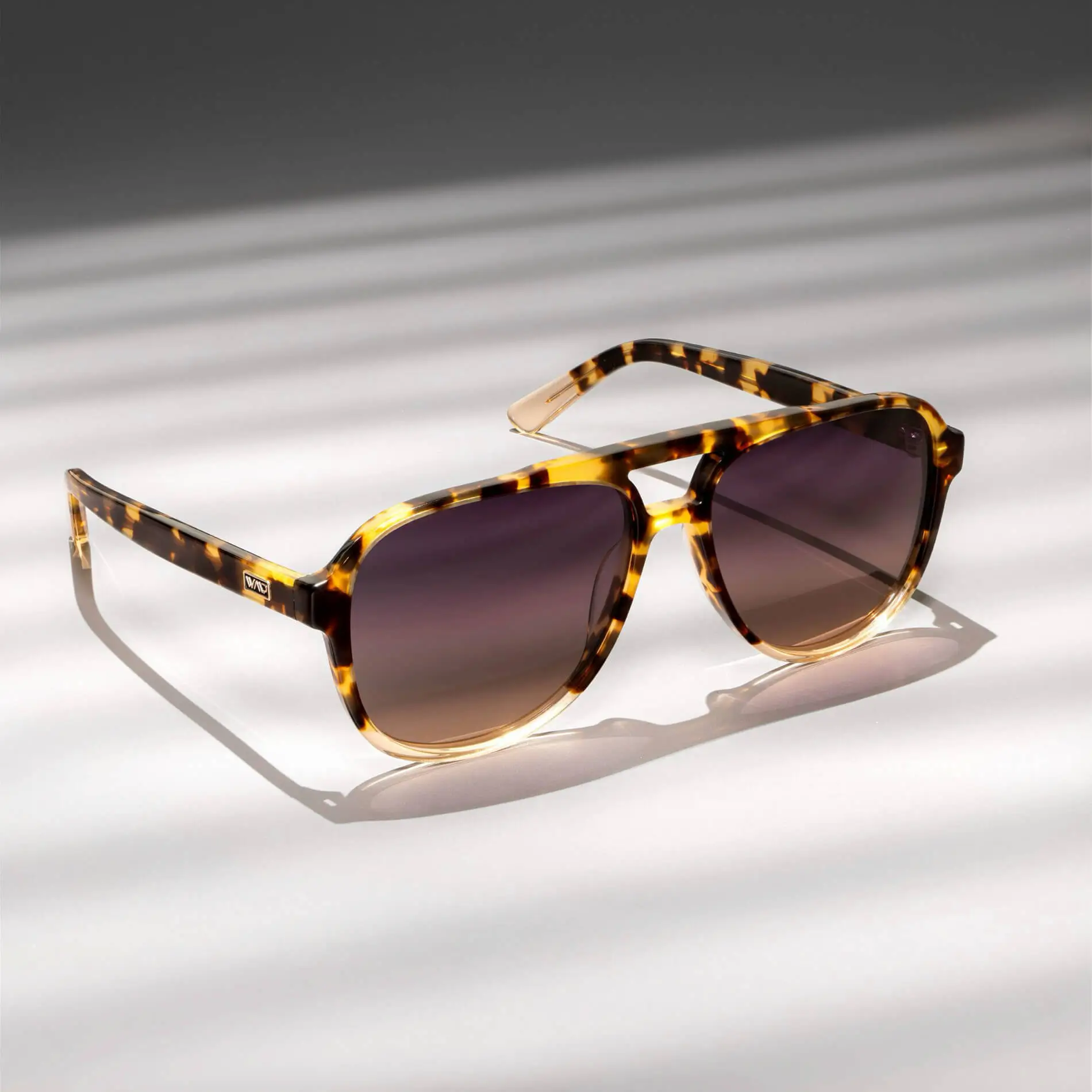 Indie | Polarized - Image 8