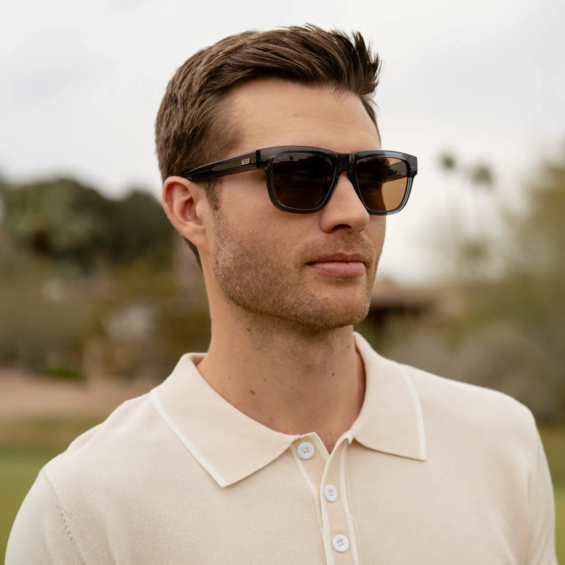 Link | Polarized - Image 8