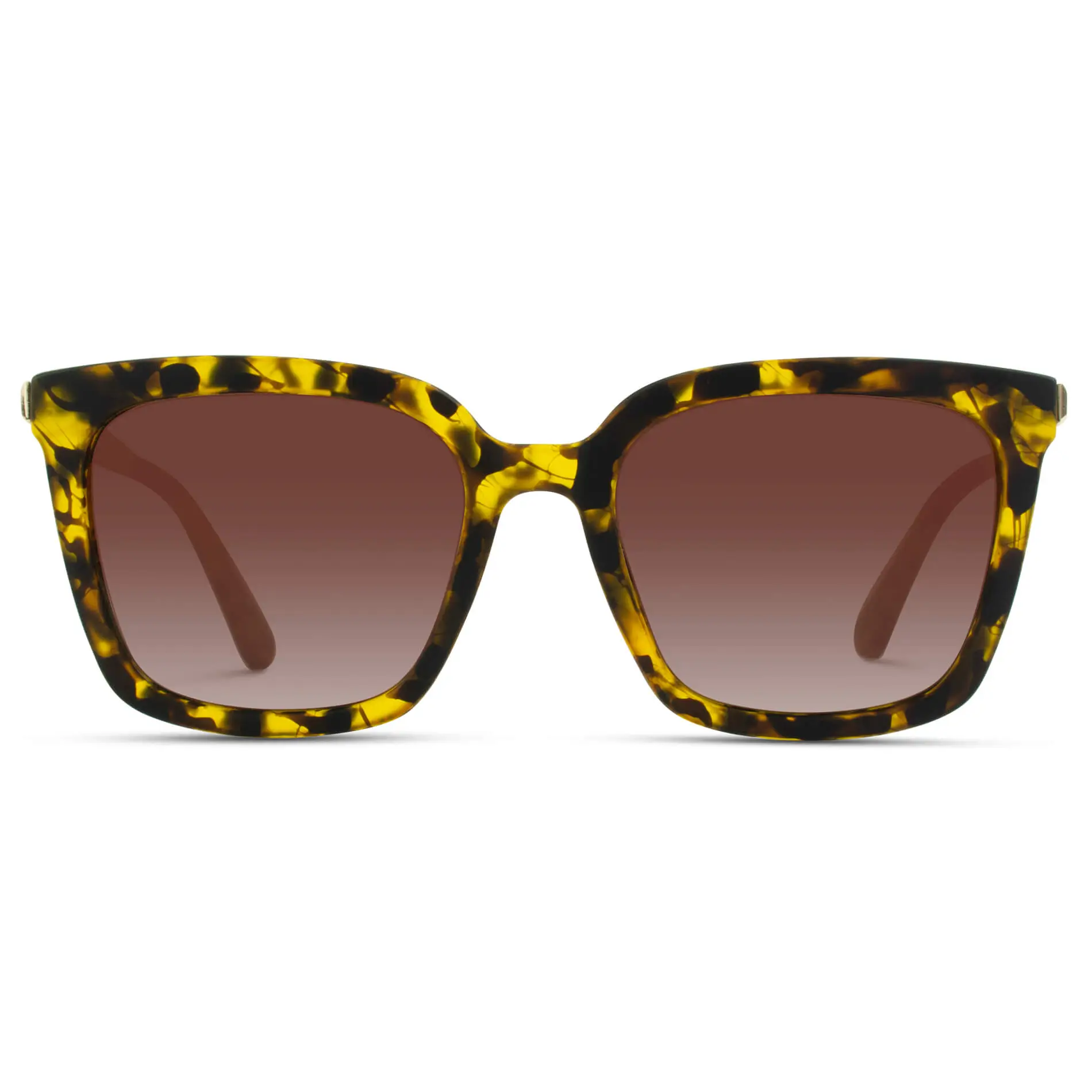 Madison | Polarized - Image 11