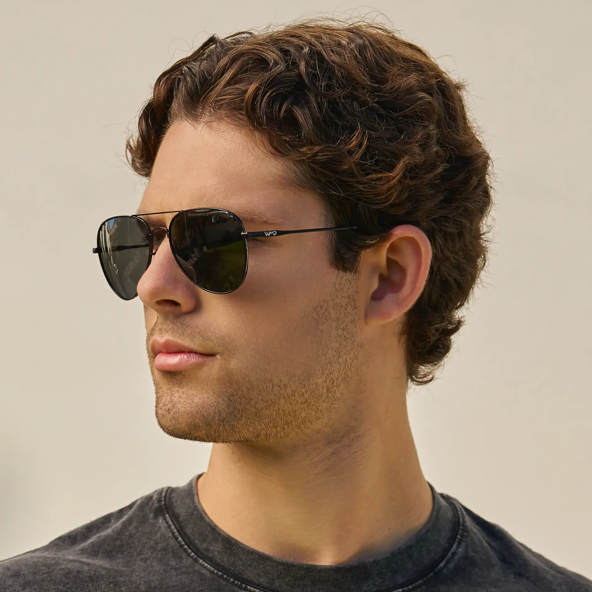 Maxwell | Polarized - Image 3