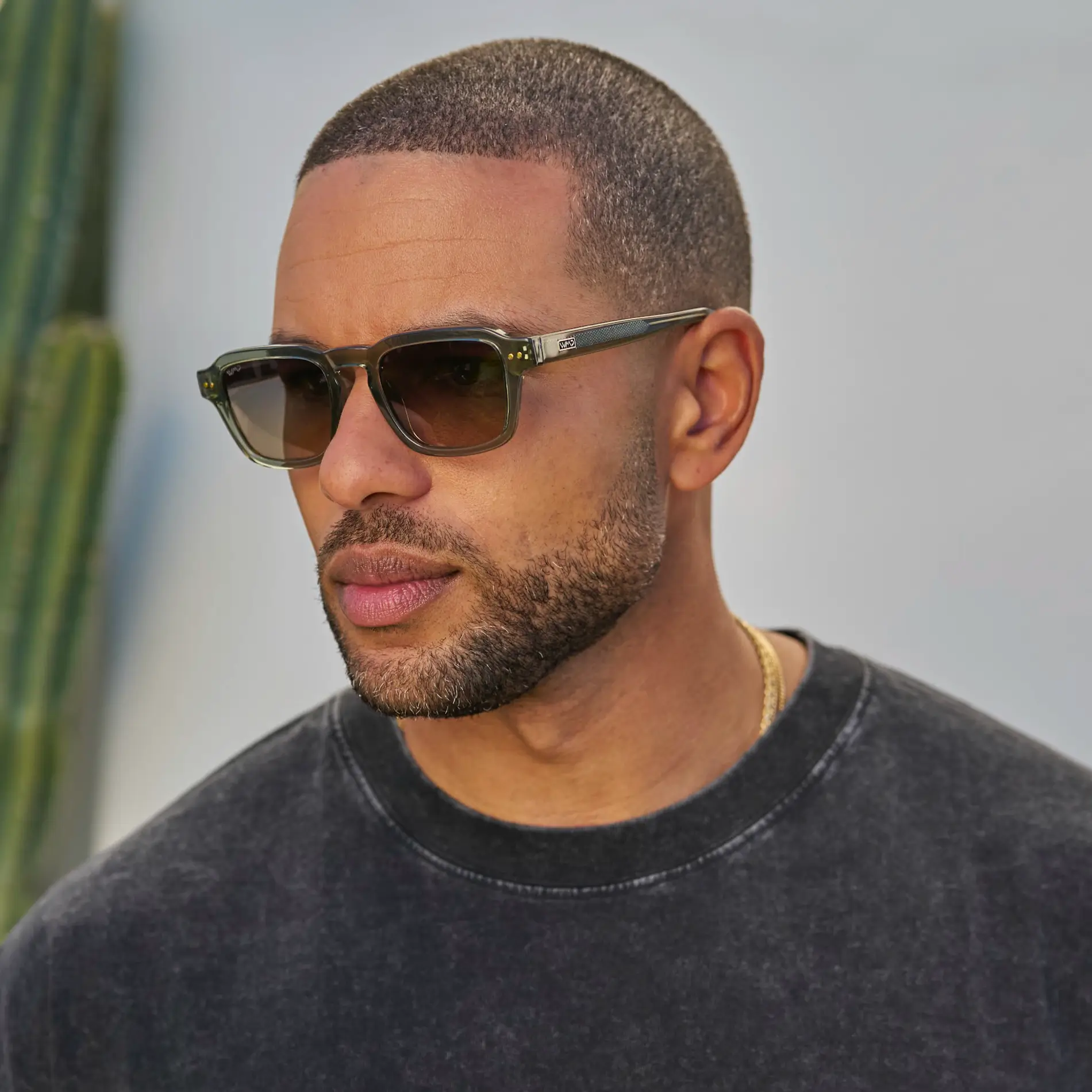 Morris | Polarized - Image 20